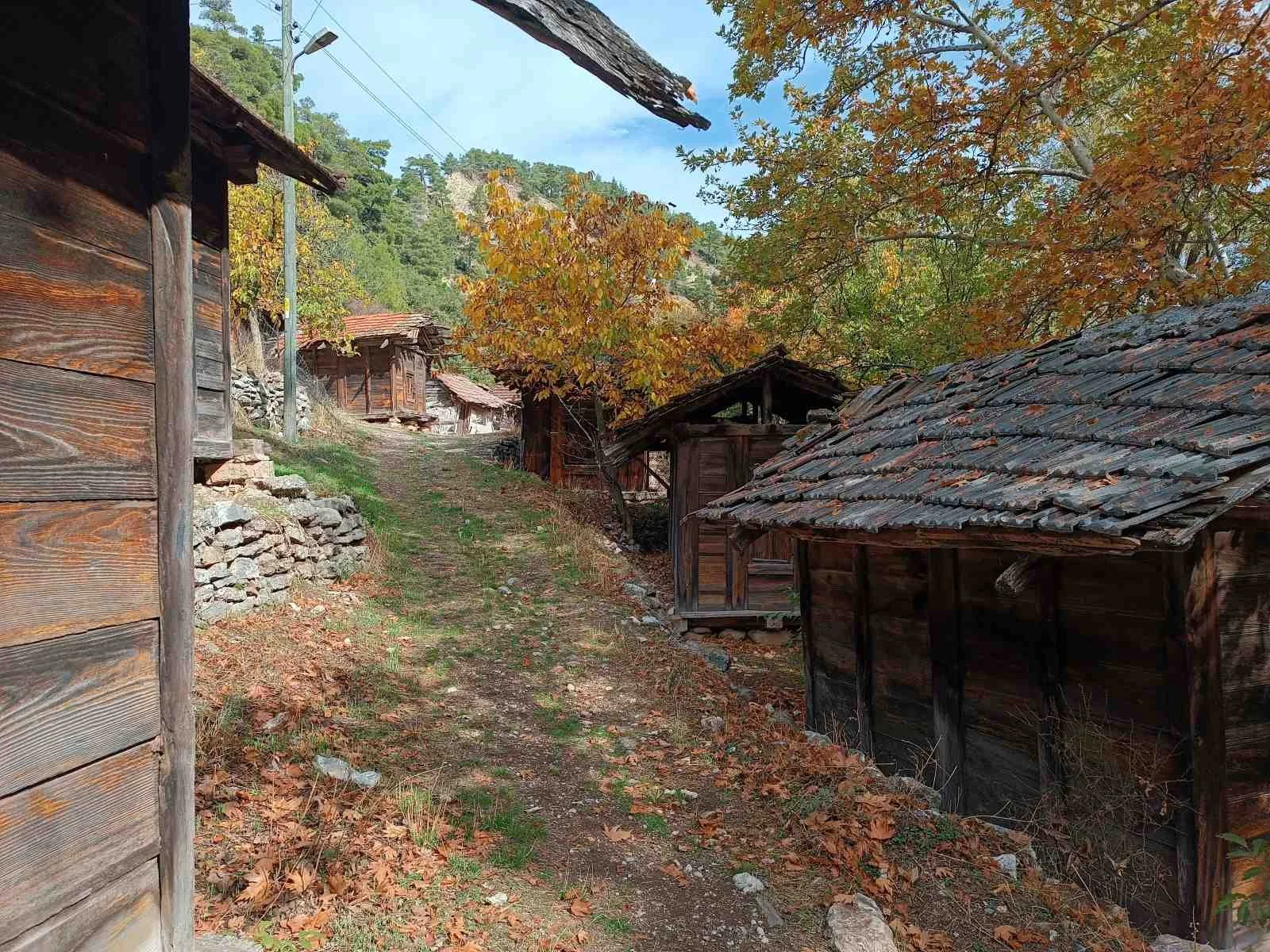 Sonbaharda ağaçlar ve eski ahşap evler içeren dağlık bir köy yolu.