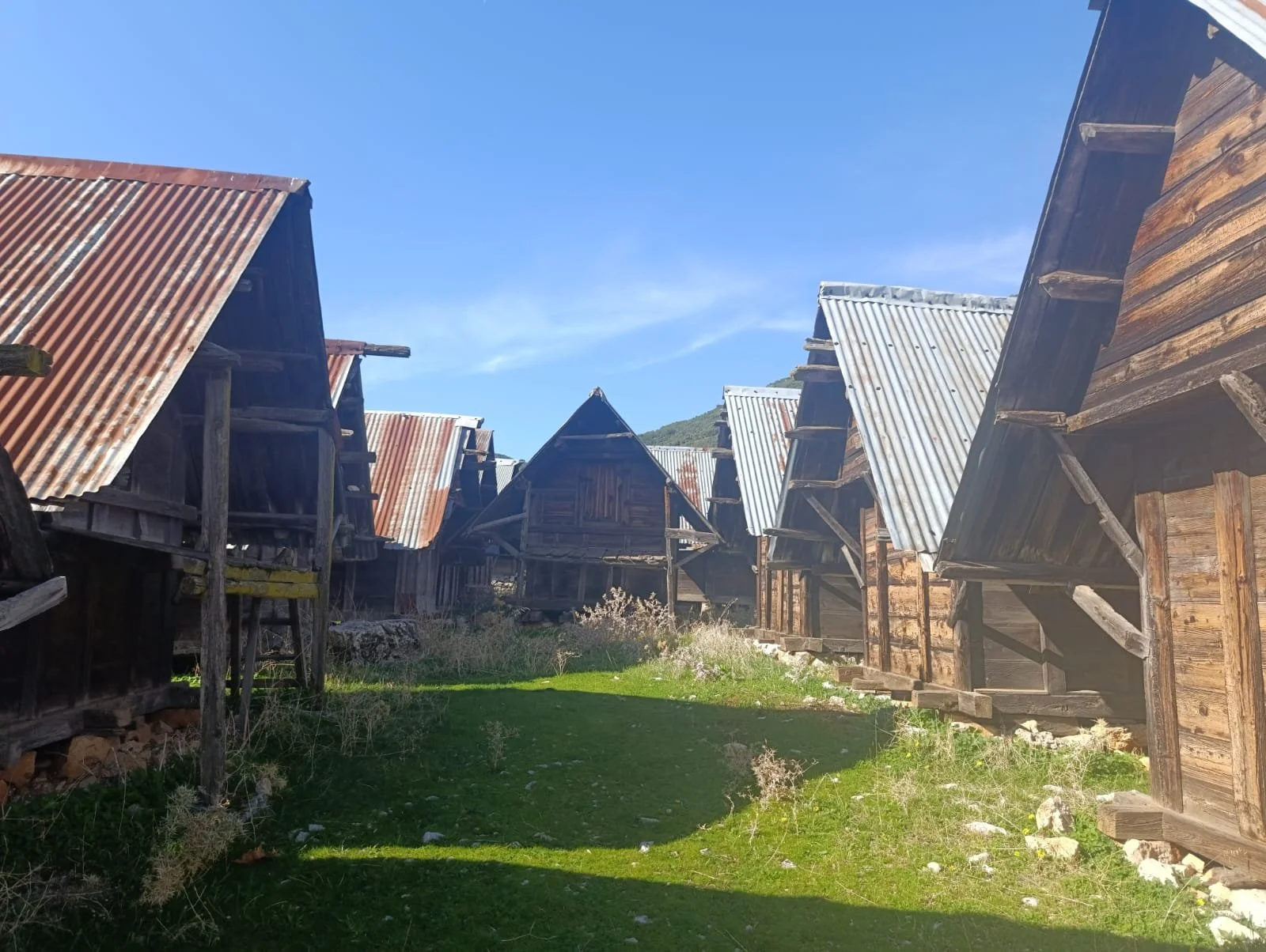 Eski tahta ve metal çatıya sahip küçük ahşap evler ve yeşil çimenlik alan, açık mavi gökyüzü altında görünüyor.