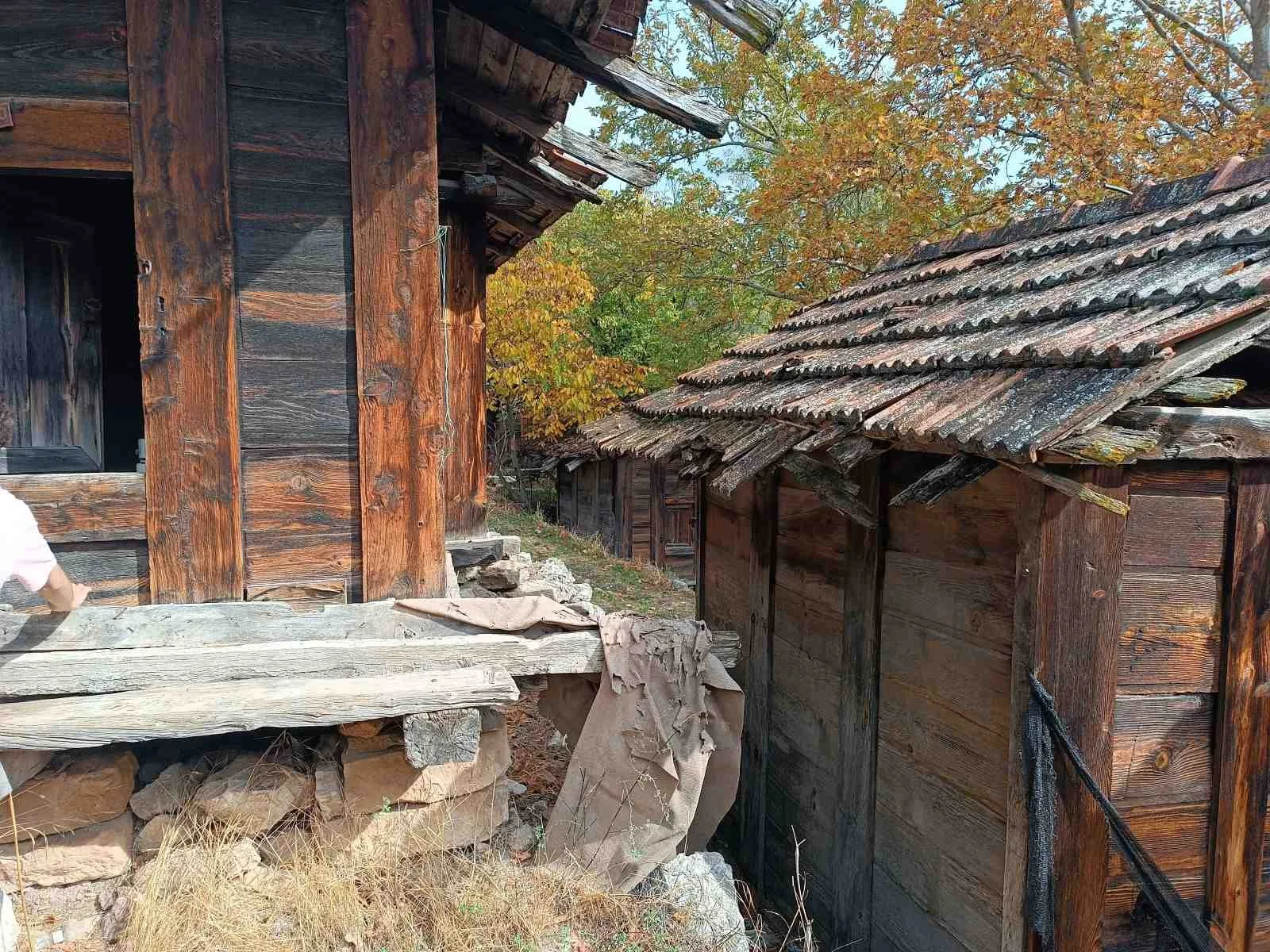 Ahşap eski ve yıpranmış kulübe ve evler, ağaçların arasında, sonbahar mevsimi.