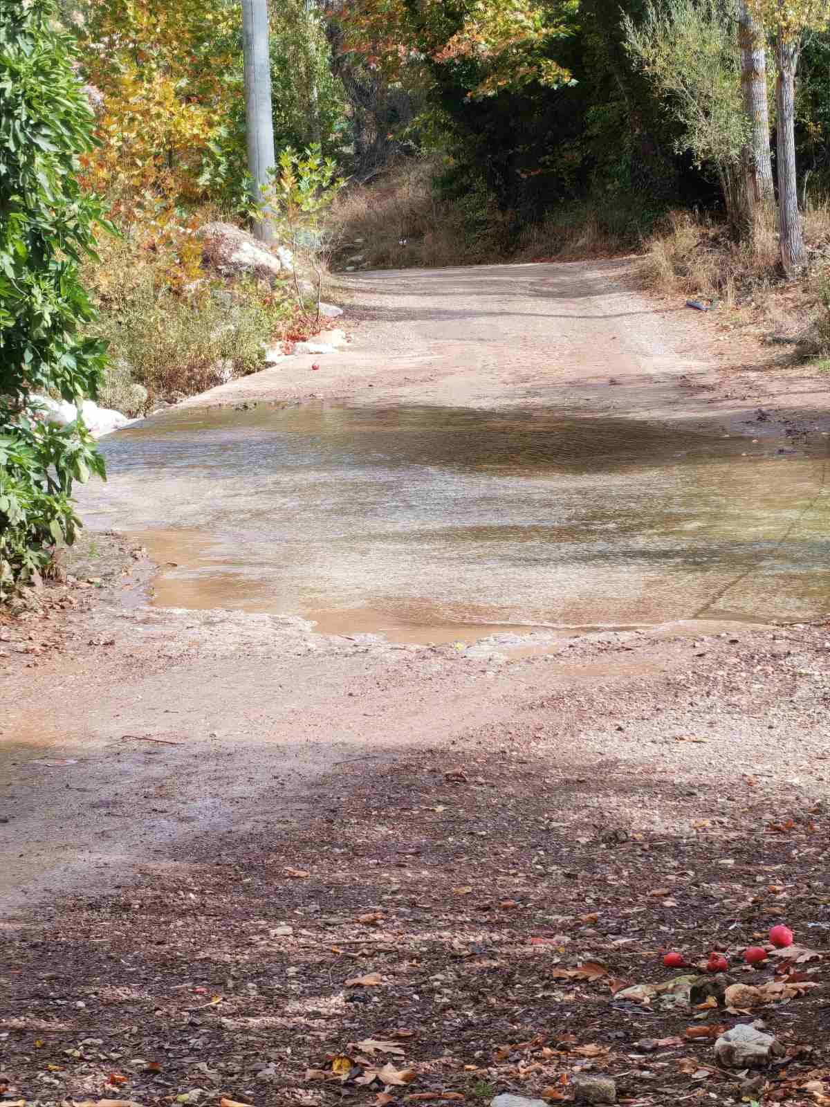 İnsan yapımı toprak yol, etrafında ağaçlar ve çalılıkların olduğu ormanlık bir alan.