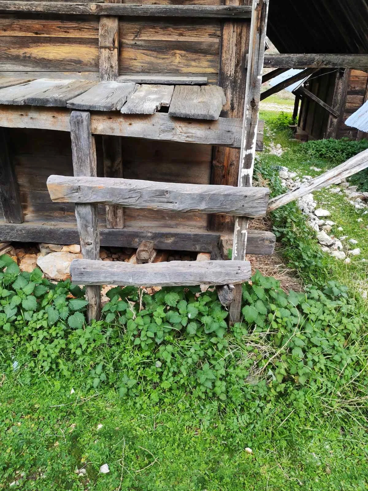 Ahşap bir merdiven ve bir ahşap yapı, etrafında yeşil bitki örtüsü, taşlar ve çim alanlar görülüyor.