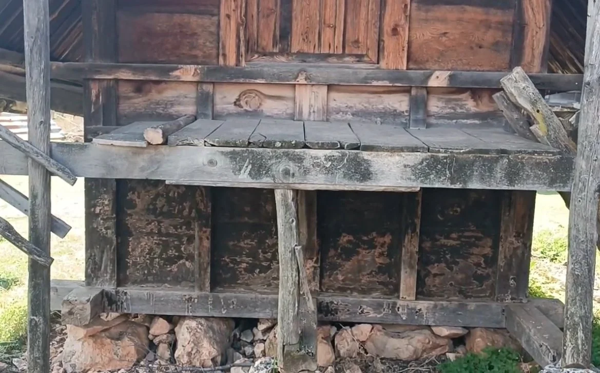 Ahşap yapı, tehlikeli görünen ahşap merdiven ve zemin, bazı taşlar ve ağaçlar ile çevrilmiş.