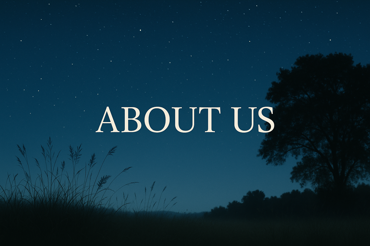 Nighttime scene with a starry sky, a silhouette of a tree, and grass in the foreground, with the words 'About Us' centered on the image.