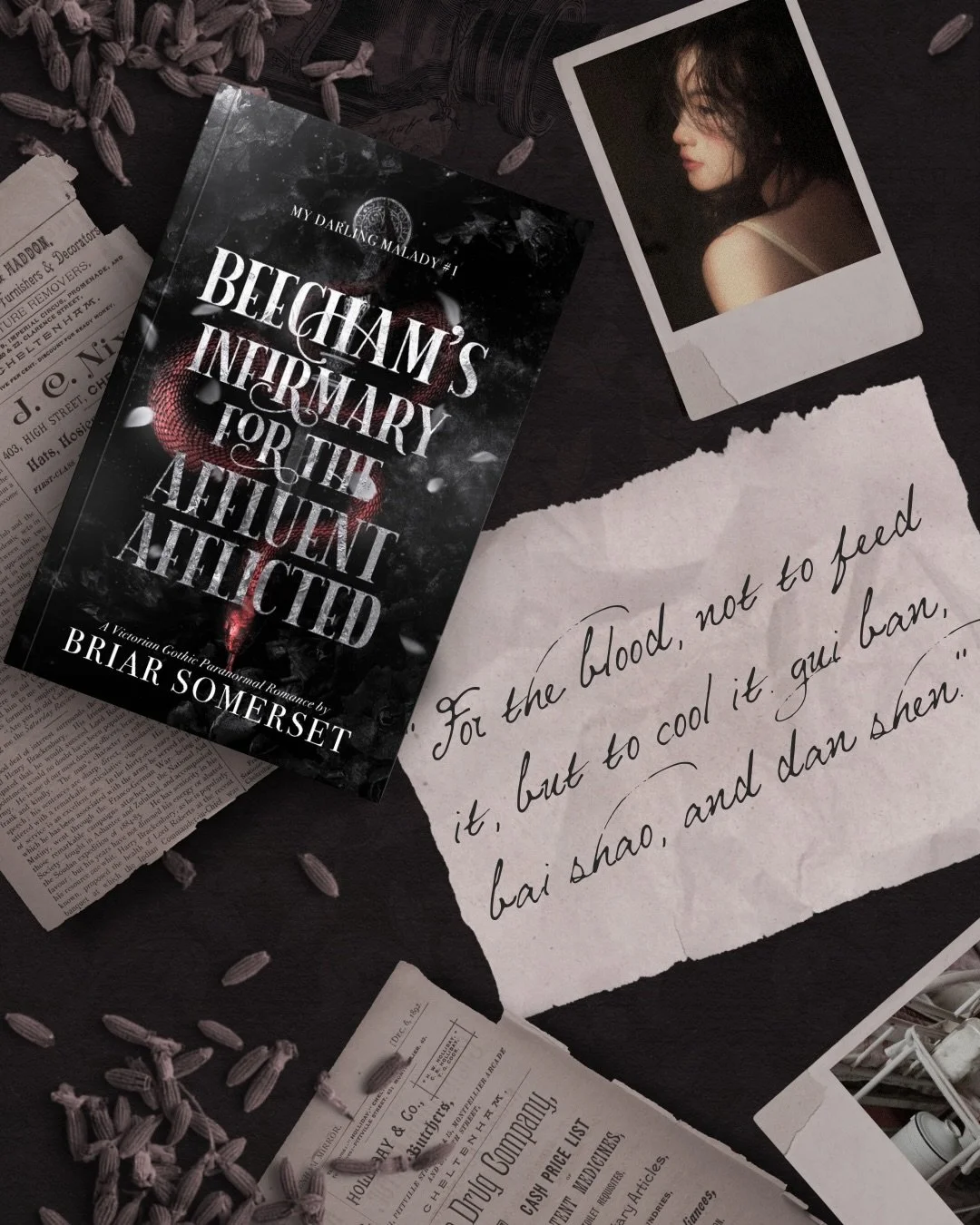 🥀 BEECHAM&rsquo;S INFIRMARY FOR THE AFFLUENT AFFLICTED is a diverse Gothic Paranormal Romance&ndash;the first installment in the My Darling Malady series following the unfortunate adventures of a French private investigator running from the esteemed