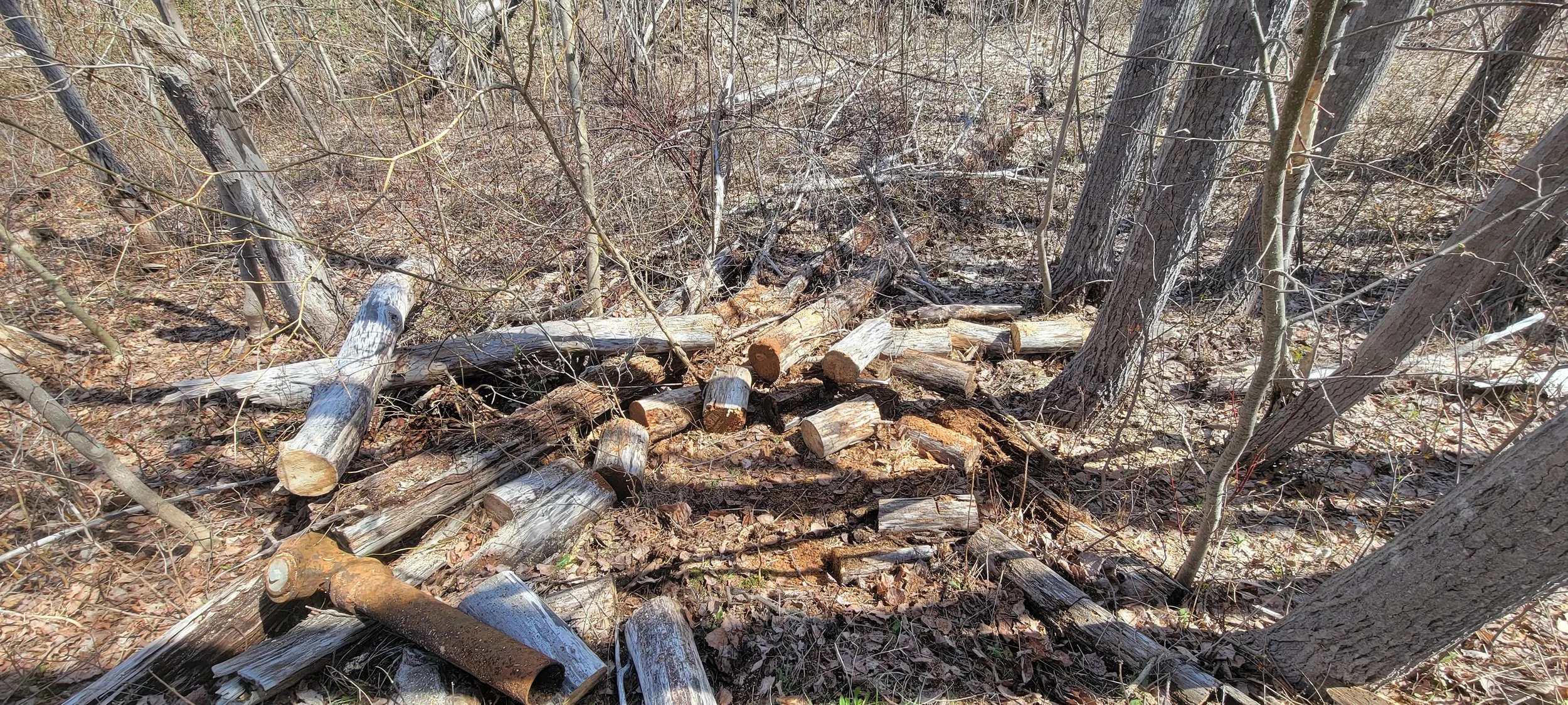 20260508_111753.jpg