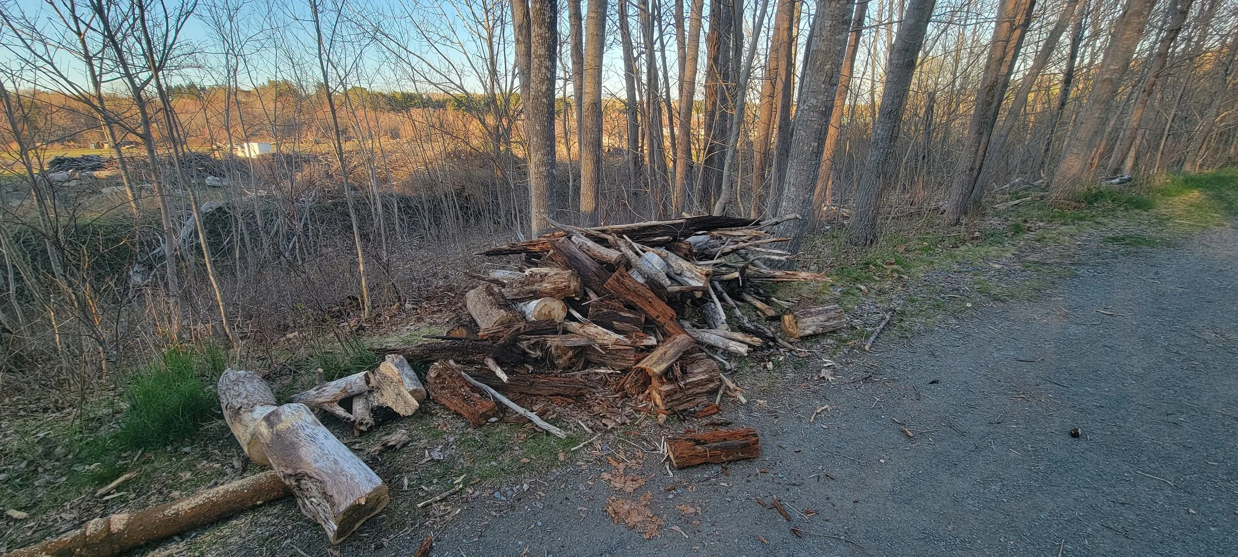 20260508_192913.jpg