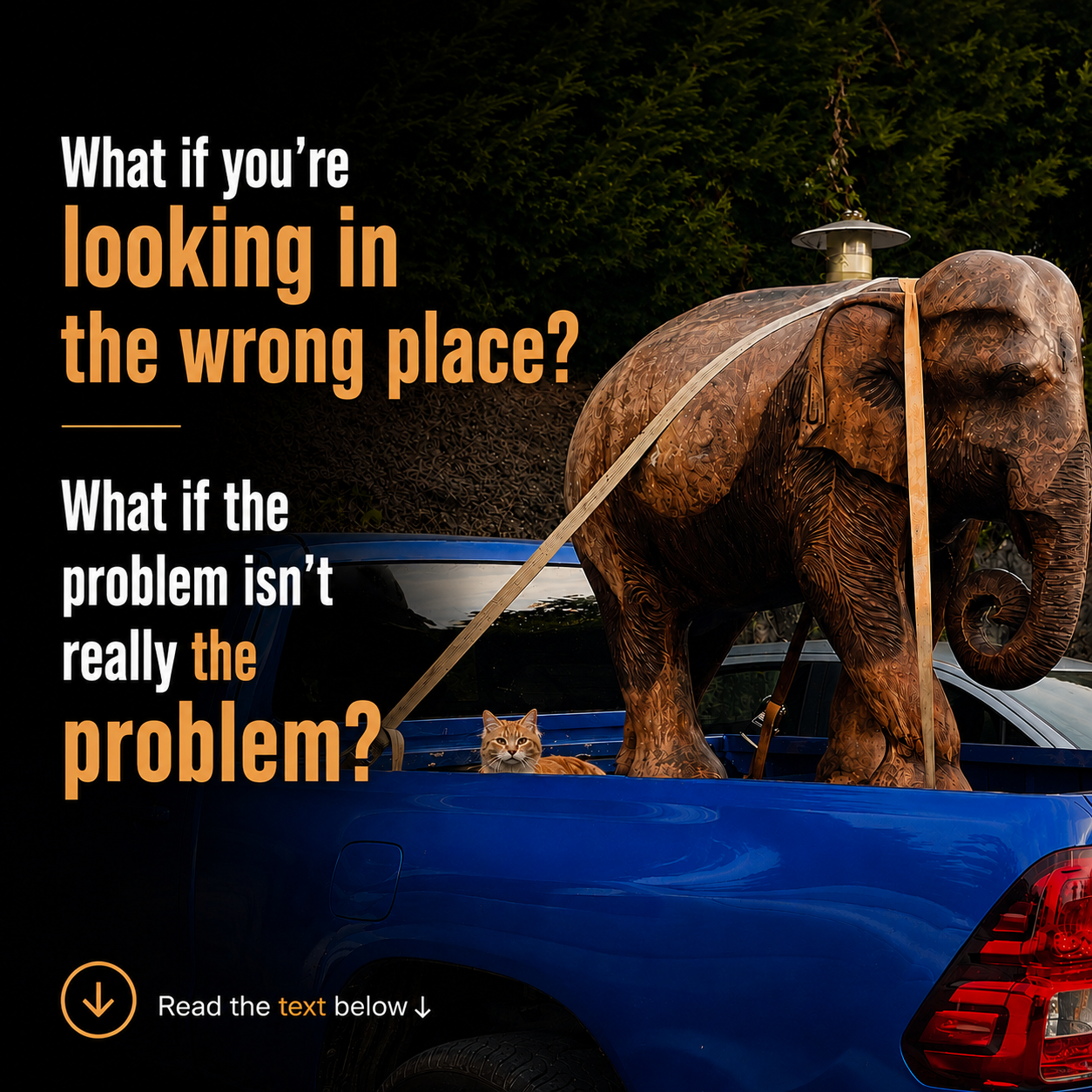 What If You’re Looking in the Wrong Place?