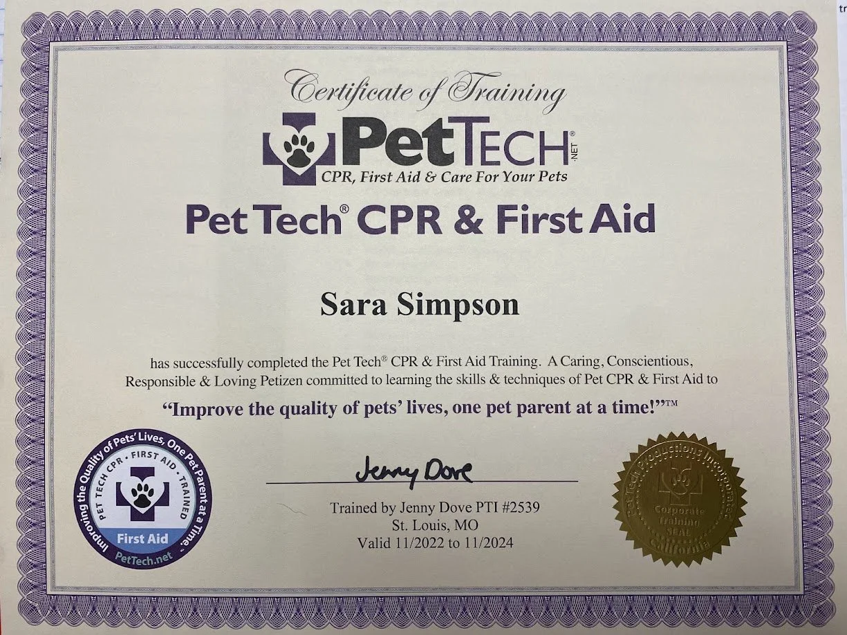 Certificate of training in Pet Tech CPR and First Aid for Sara Simpson, issued by Pet Tech. The certificate includes a gold seal, a Pet Tech logo, and states the course was completed by Jenny Dove. It is valid from November 2022 to November 2024.