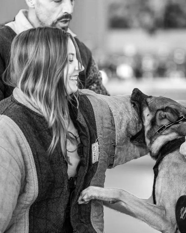 Dog Trainer Sara wearing a bite suit and taking a full bite from a Malinois Shepherd dog on her arm.