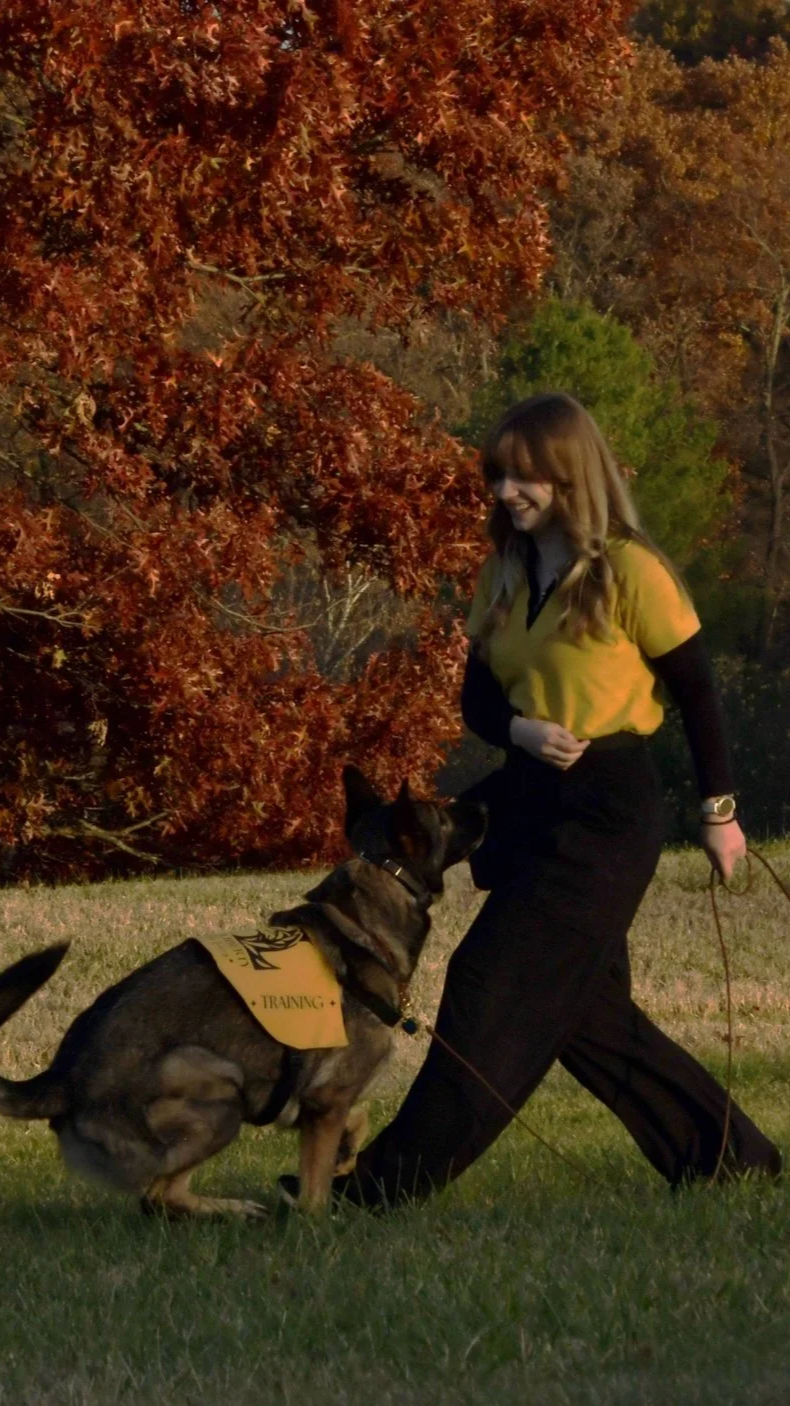 Dog trainer Sara playing in a field with a German Shepherd wearing a vest that says "training" with a fall leaf background.