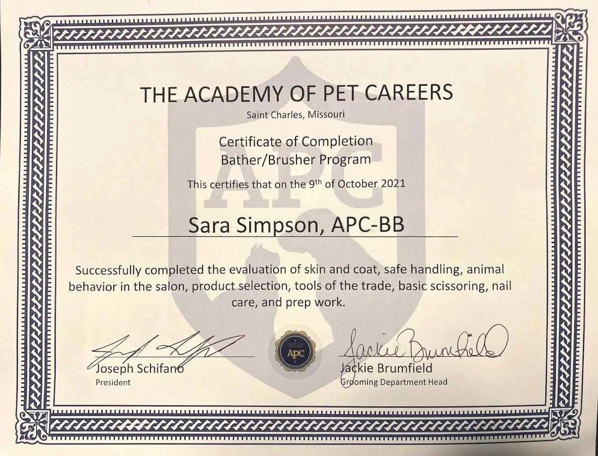Certificate of completion from The Academy of Pet Careers for Sara Simpson, awarded on October 9, 2021, in Saint Charles, Missouri, recognizing her for successfully completing the Bather/Brusher Program, with signatures from the president and grooming department head.