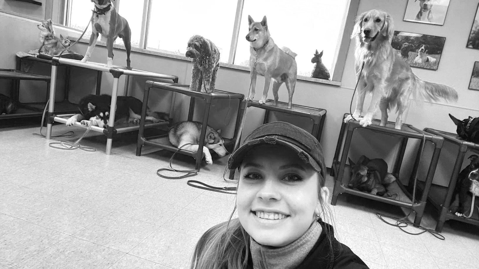 A woman taking a selfie in front of a row of dogs and painted dog portraits on the wall, with several dogs standing or lying on elevated platforms behind her.