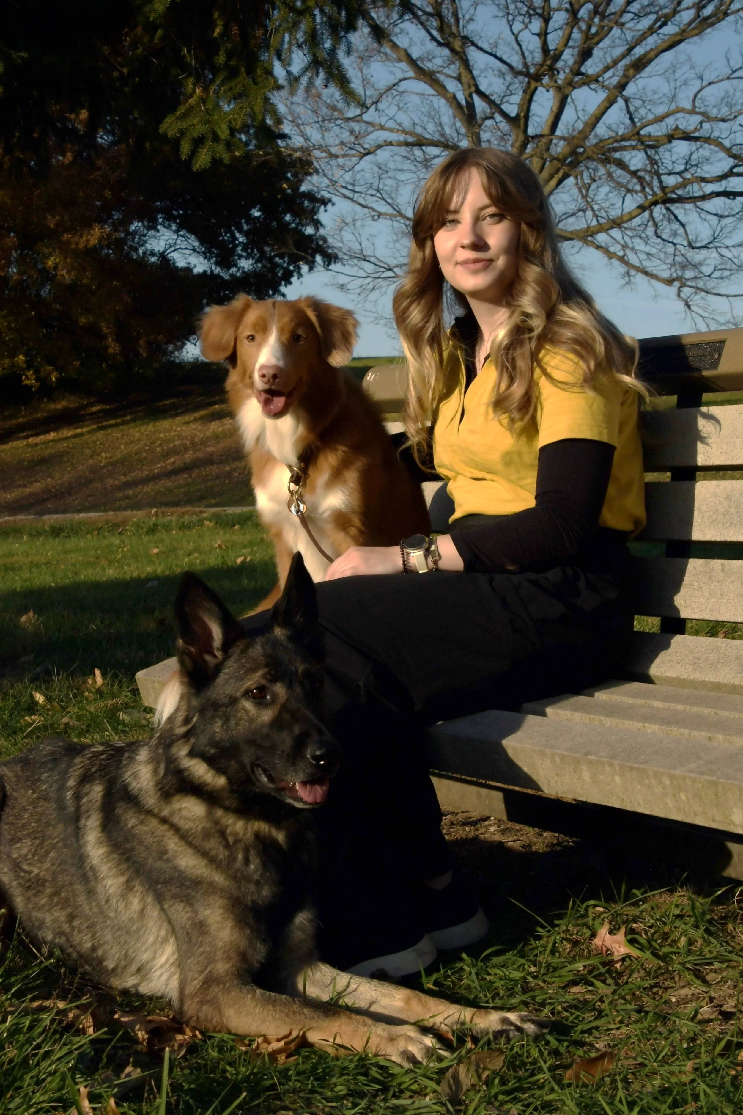 A woman with long wavy hair sitting on a park bench smiling with three dogs around her during late afternoon or early evening. One dog is a brown and white border collie mix sitting next to her, and the other two dogs are a brindle-coated dog lying in the grass and a black-and-tan dog partially visible in front.