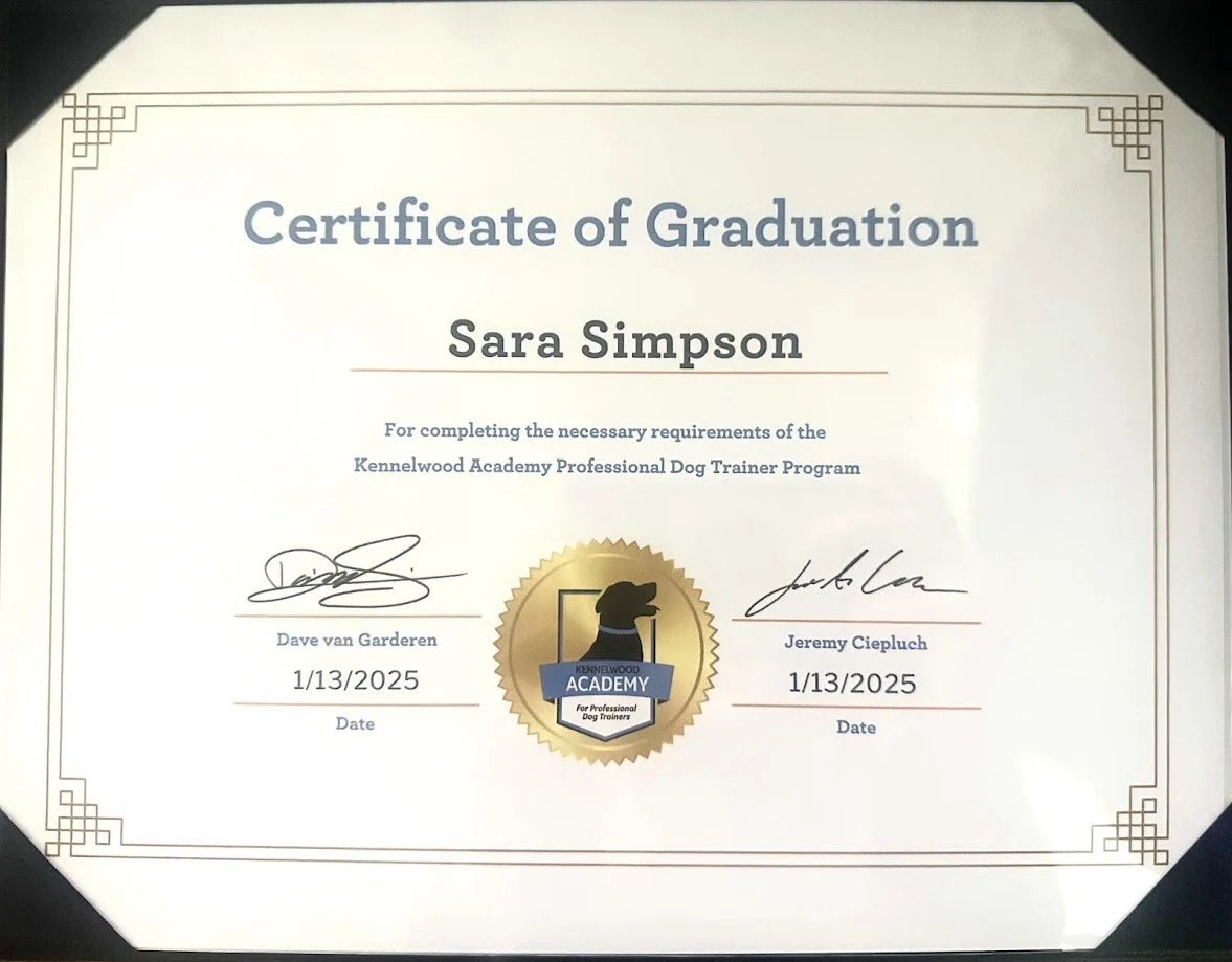 Certificate of graduation awarded to Sara Simpson for completing the Kennelwood Academy Professional Dog Trainer Program, dated January 13, 2025.