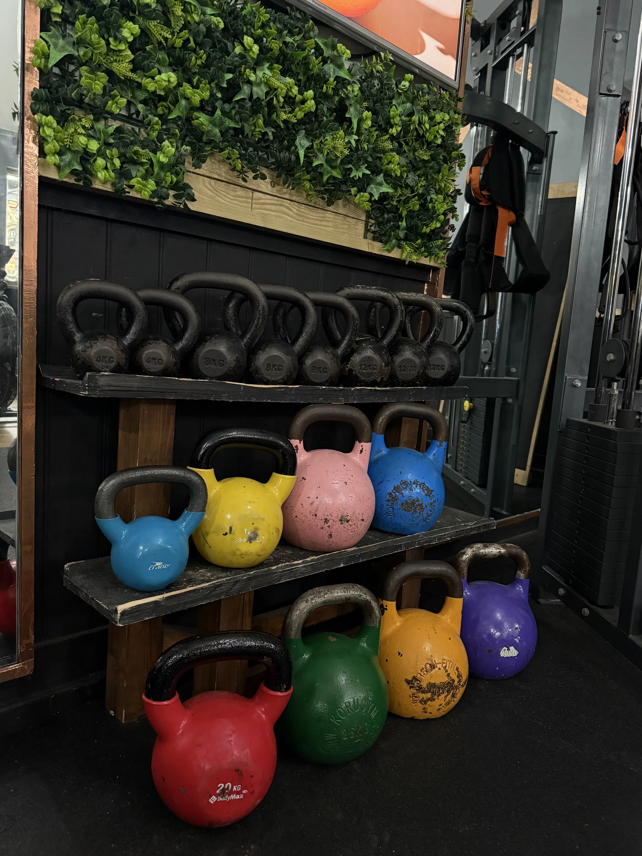 Modern gym with various exercise equipment including weight machines, benches, and a rowing machine, with large windows and contemporary lighting.