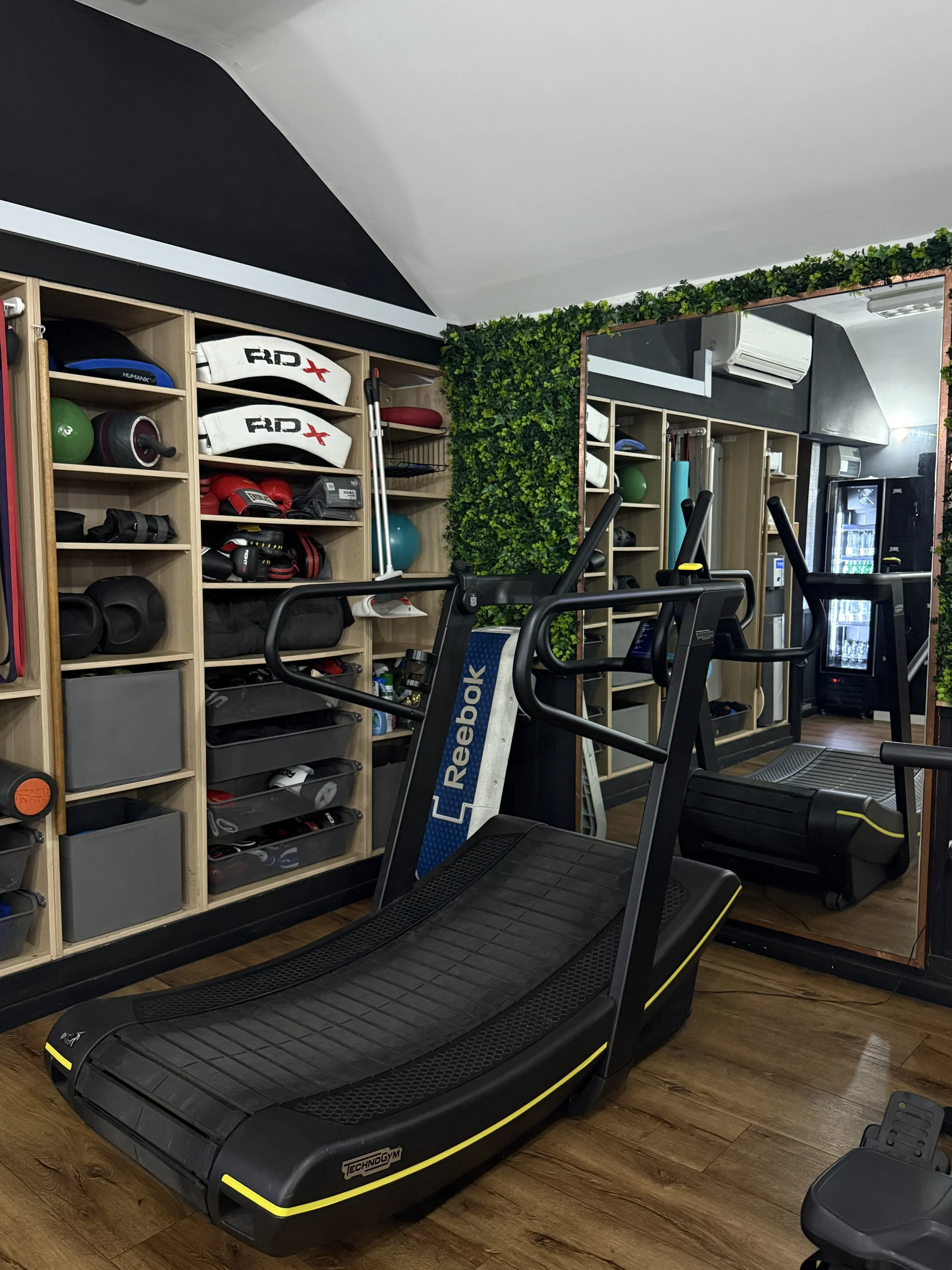 A gym workout room with a treadmill, shelves with sports equipment, and a wall mirror decorated with green foliage.