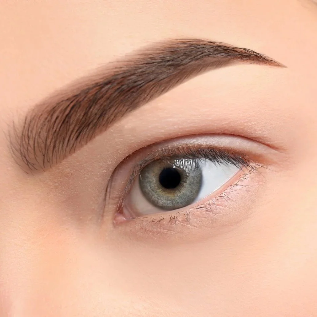 Close-up of a human eye with well-groomed eyebrow and natural makeup.