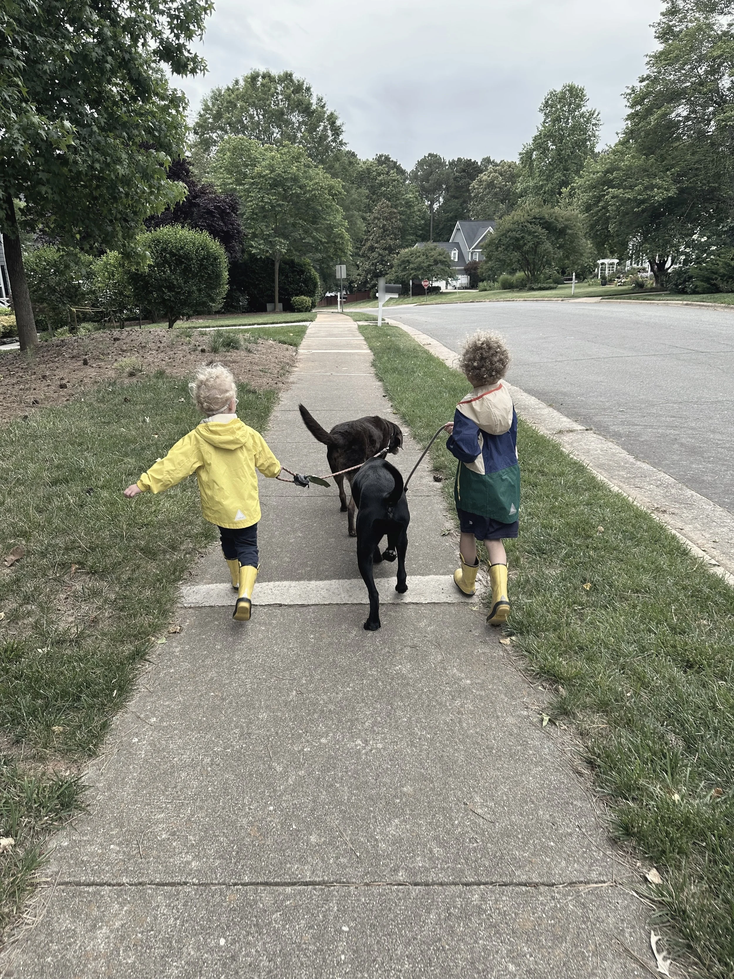 Two children in yellow rain boots walking two dogs down a sidewalk.