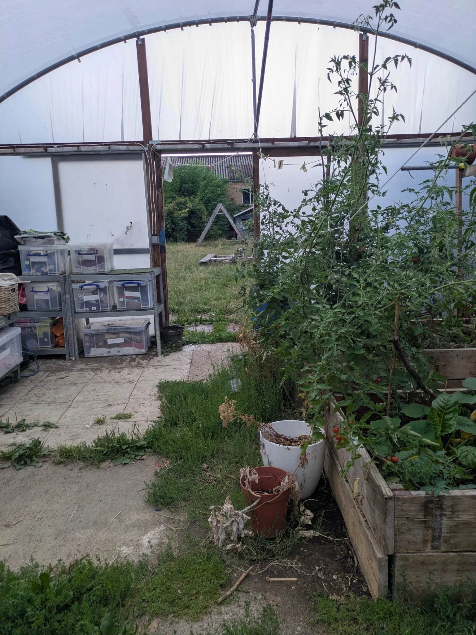 IMG-20250905-WA0011 (1).jpg