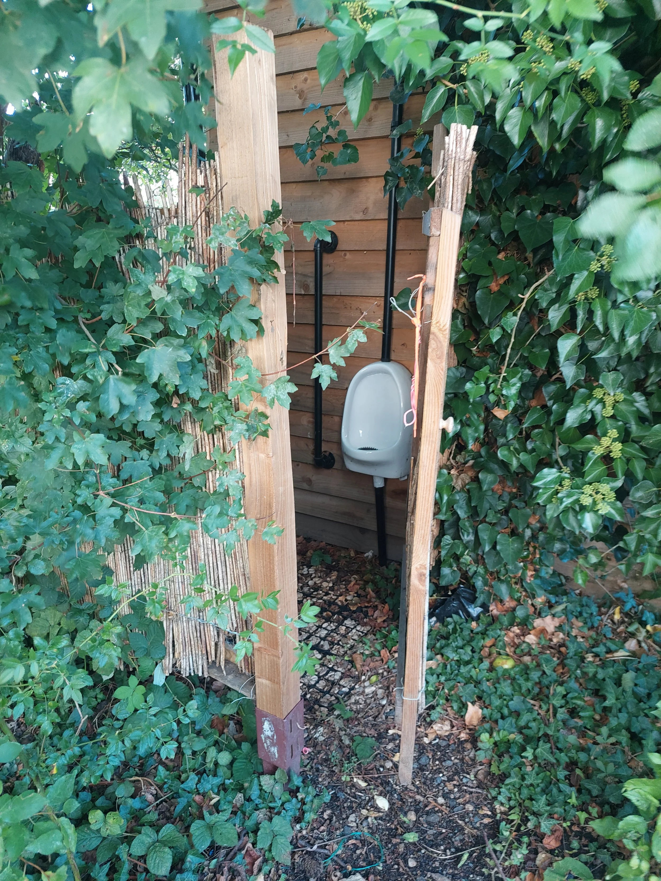 20250912_173942 (1).jpg