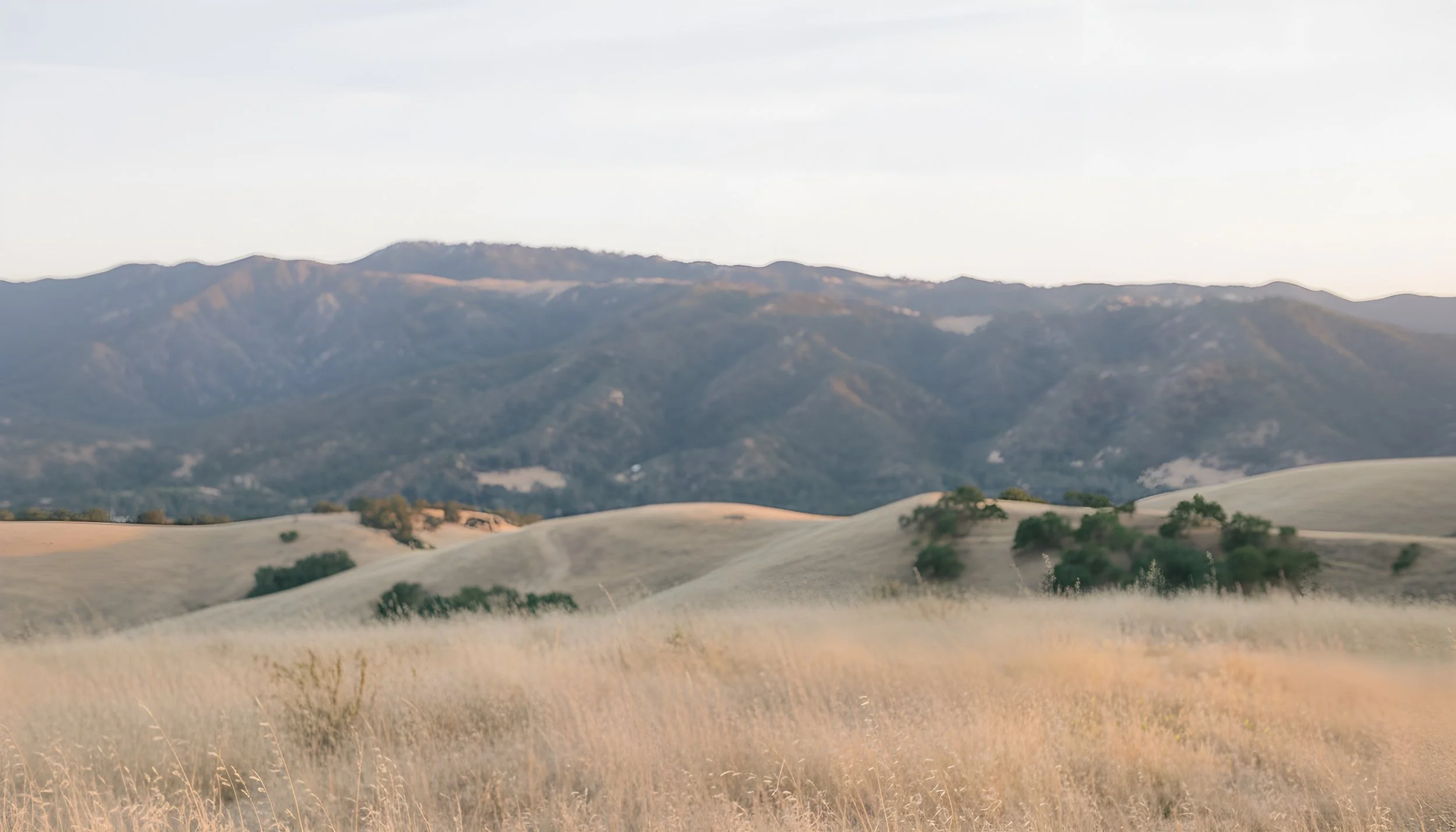 A scenic view of rolling hills and mountains under a clear sky, with dry grass and sparse green bushes in the foreground.