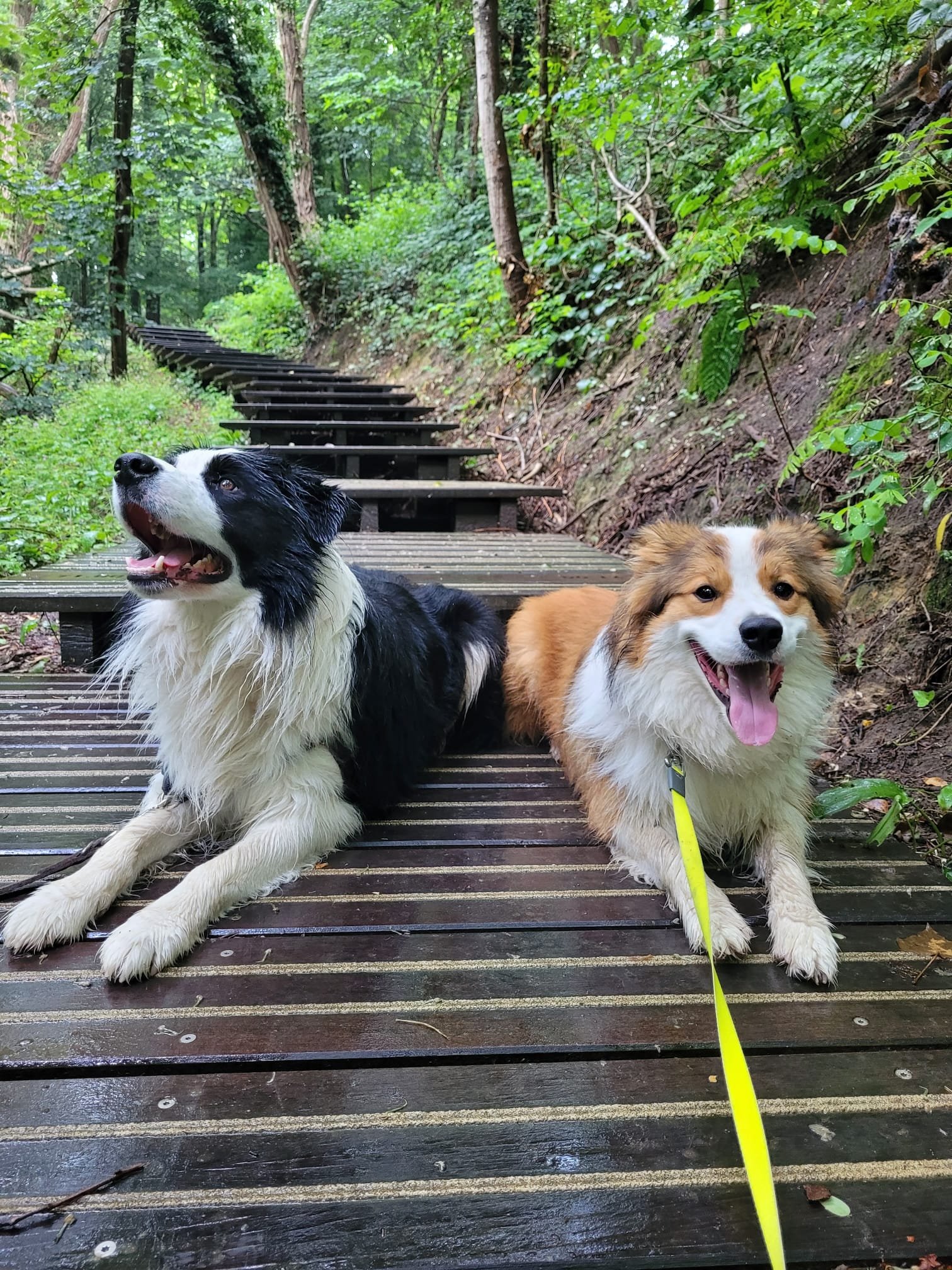 Groepswandeling