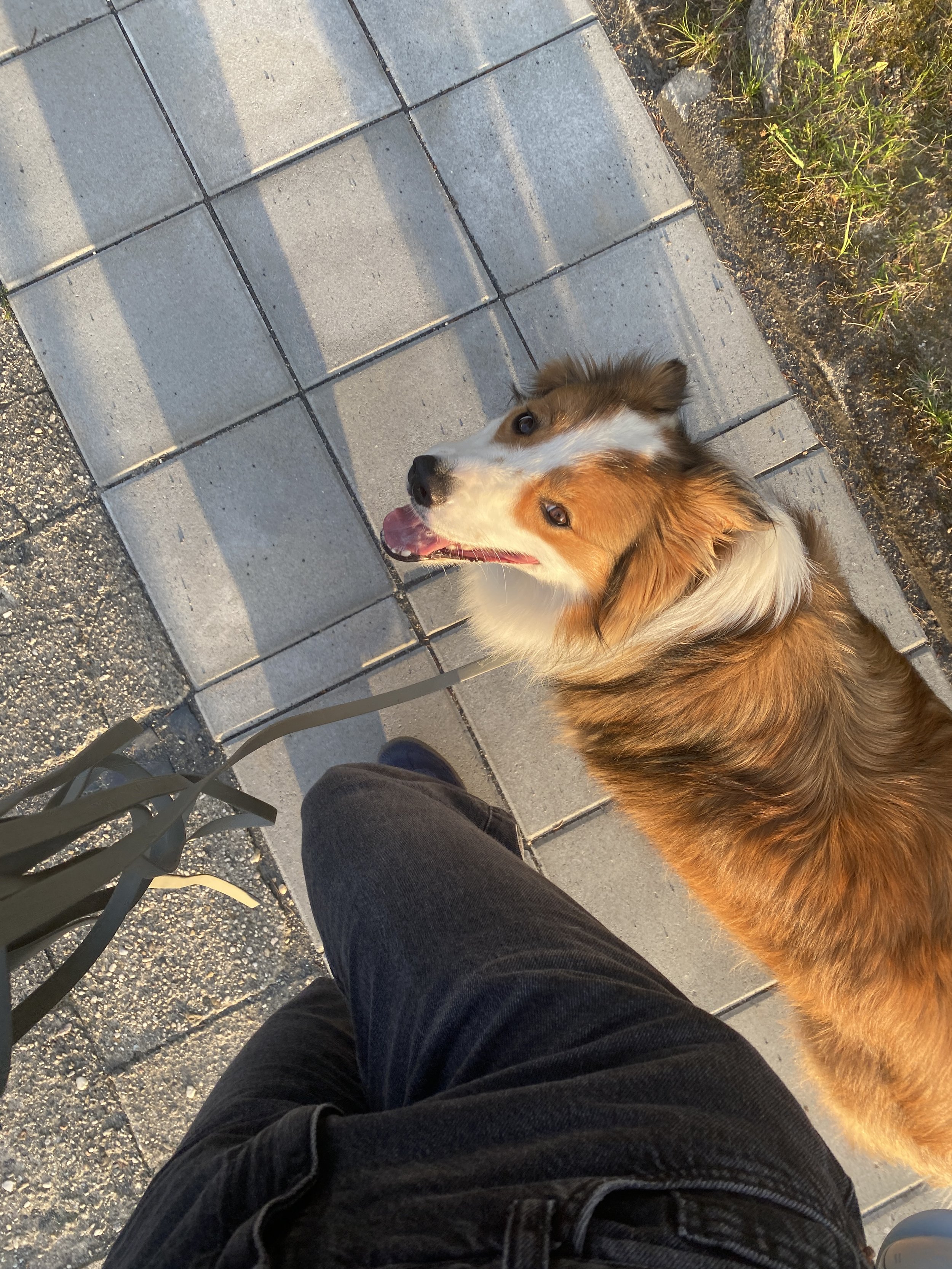 Trainingssessie