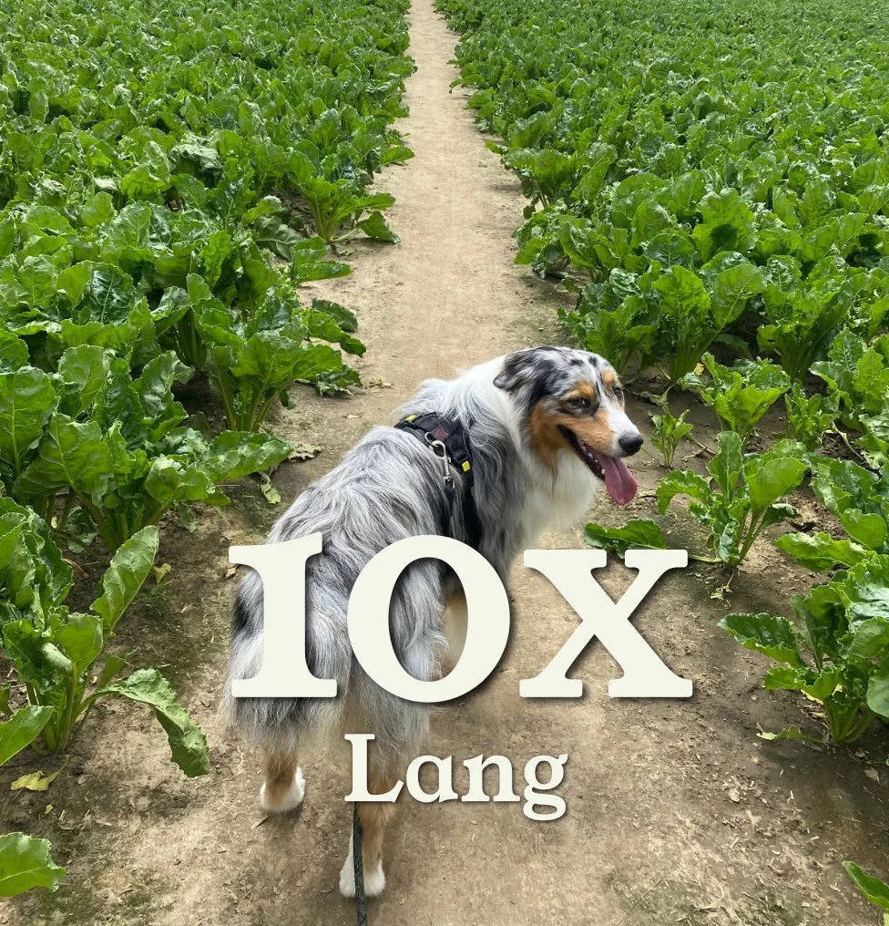 Waggy Tails Pack - lang
