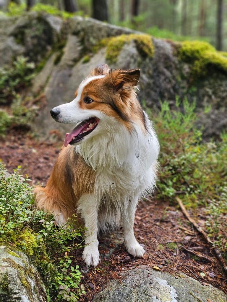 Privé-wandeling lang