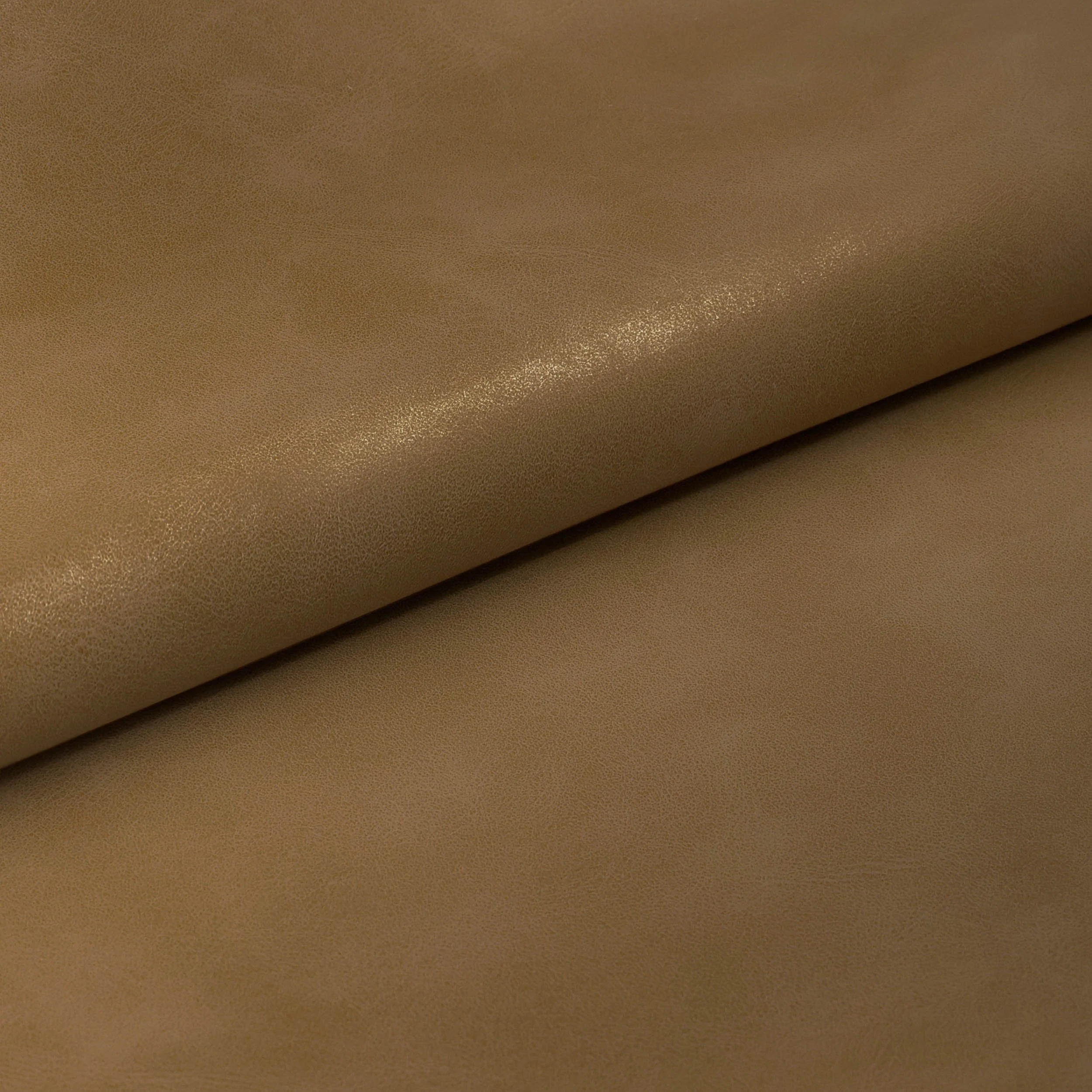 Curator Tiger Eye