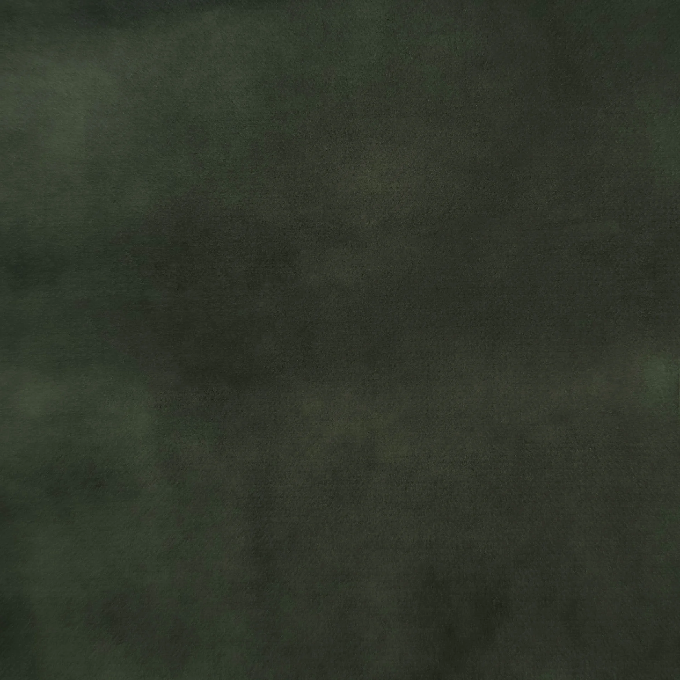 Carolina Succulent.jpg