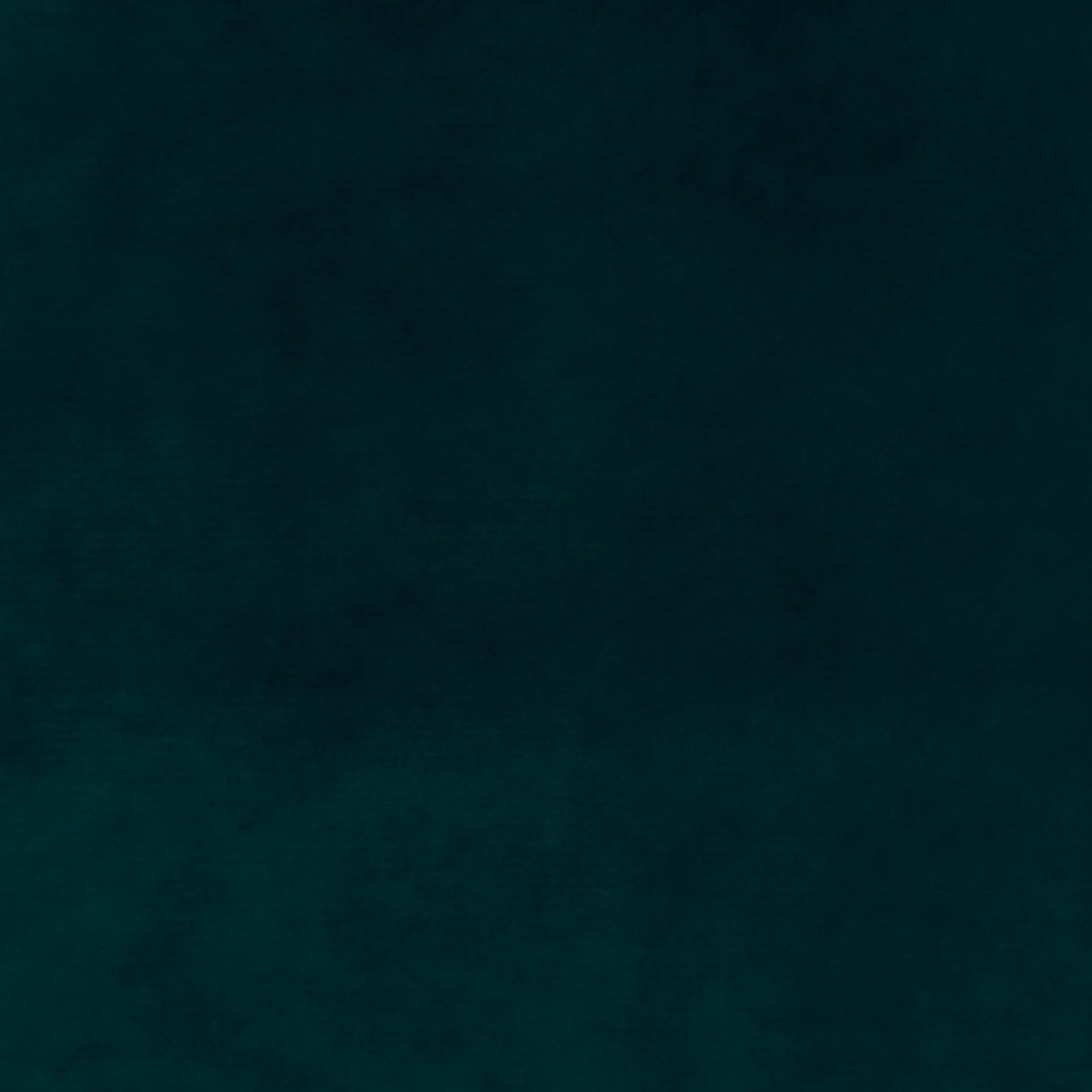 Carolina Jungle.jpg