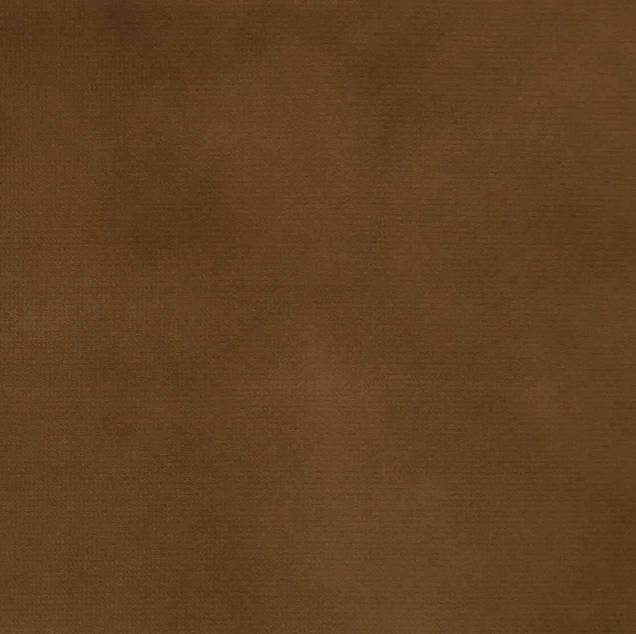 Carolina Miso