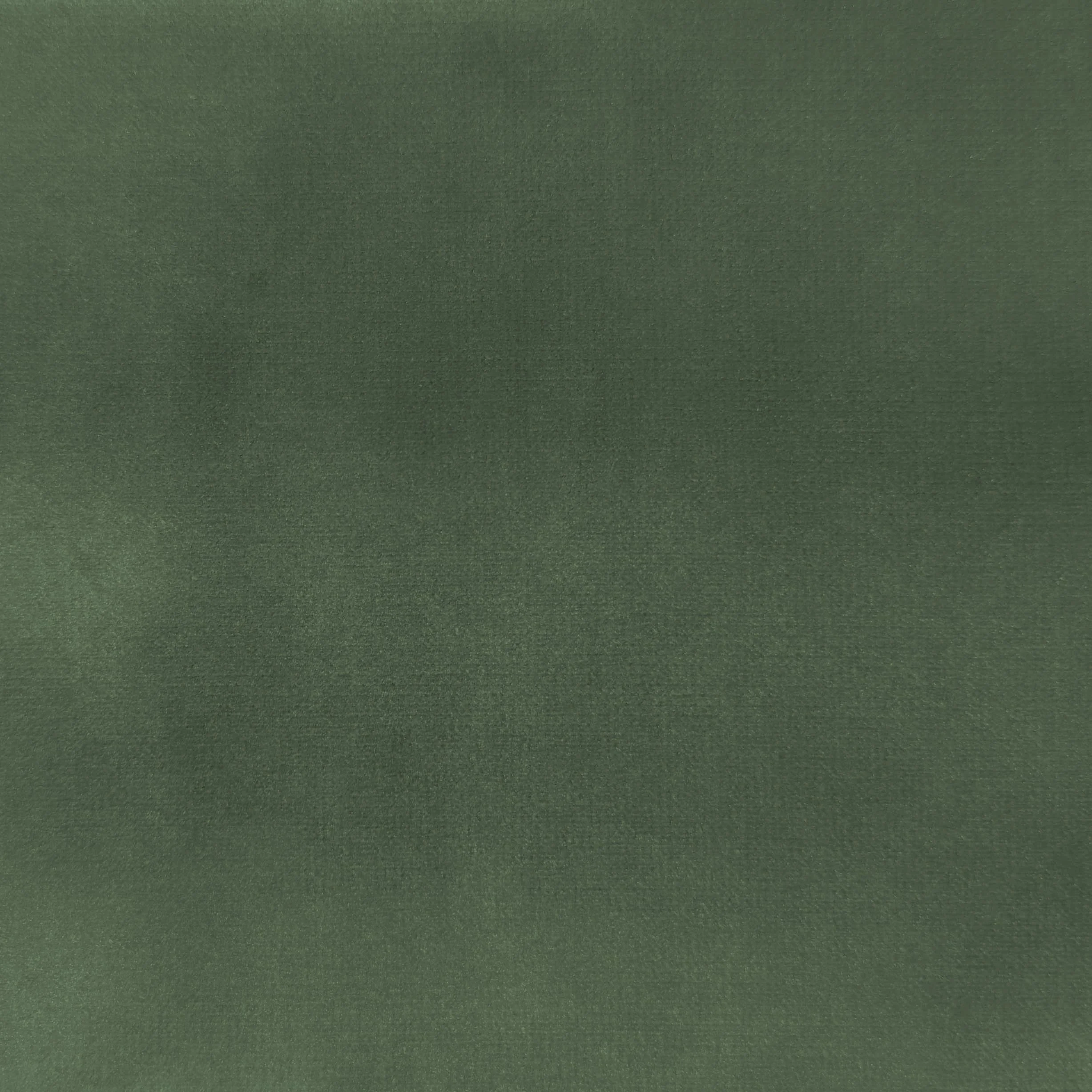 Carolina Mint.jpg