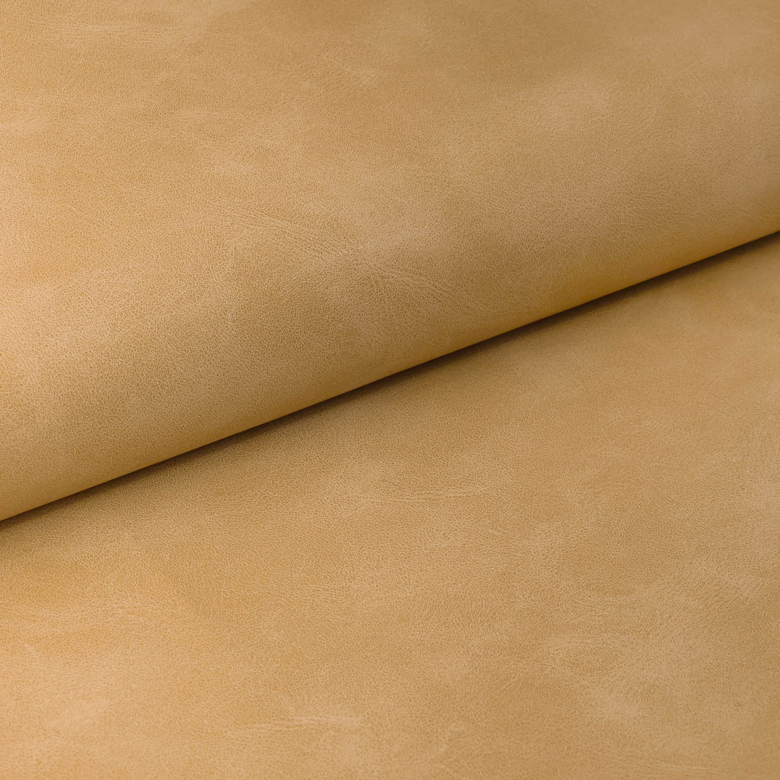 Curator Gesso