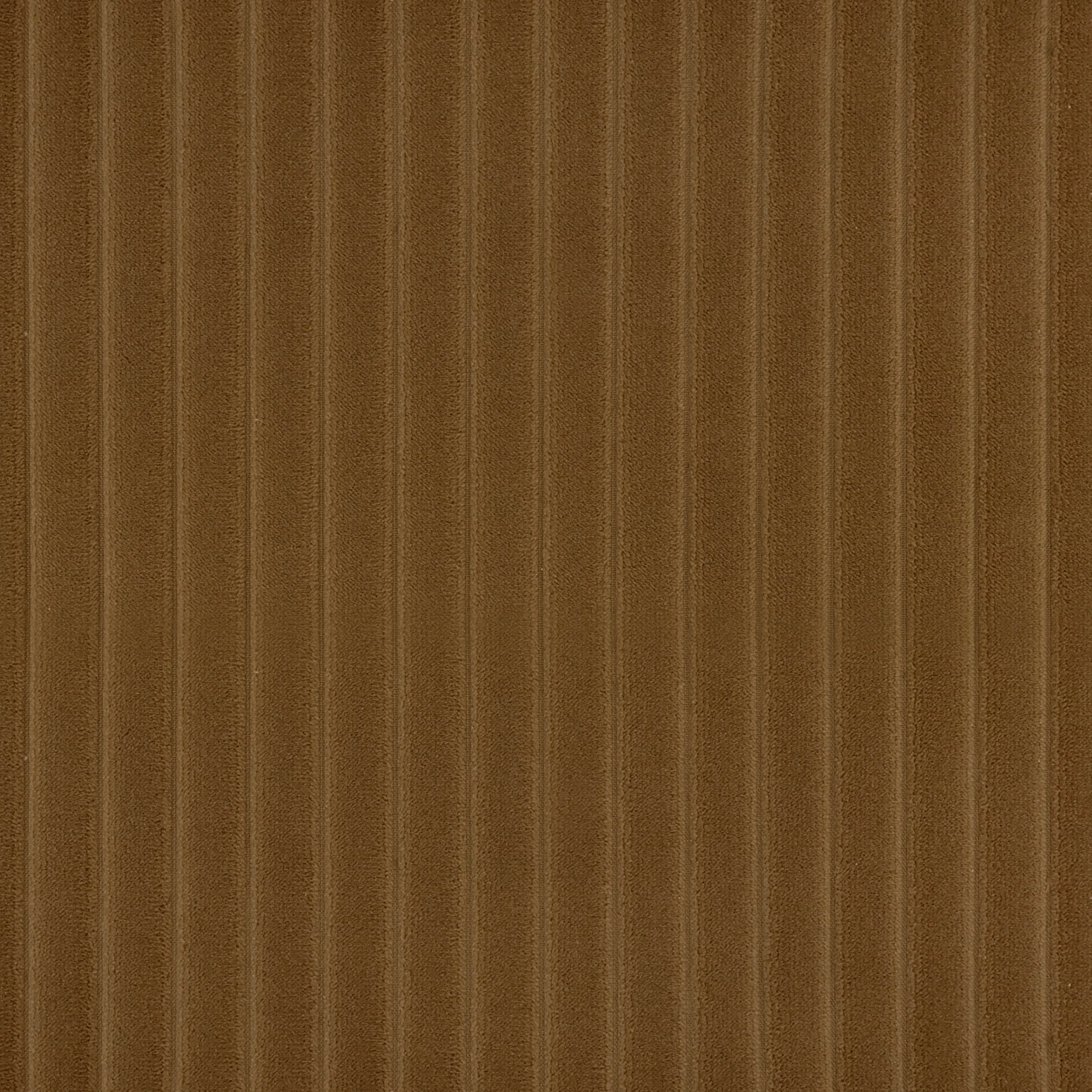 Rehearsal Chanterelle