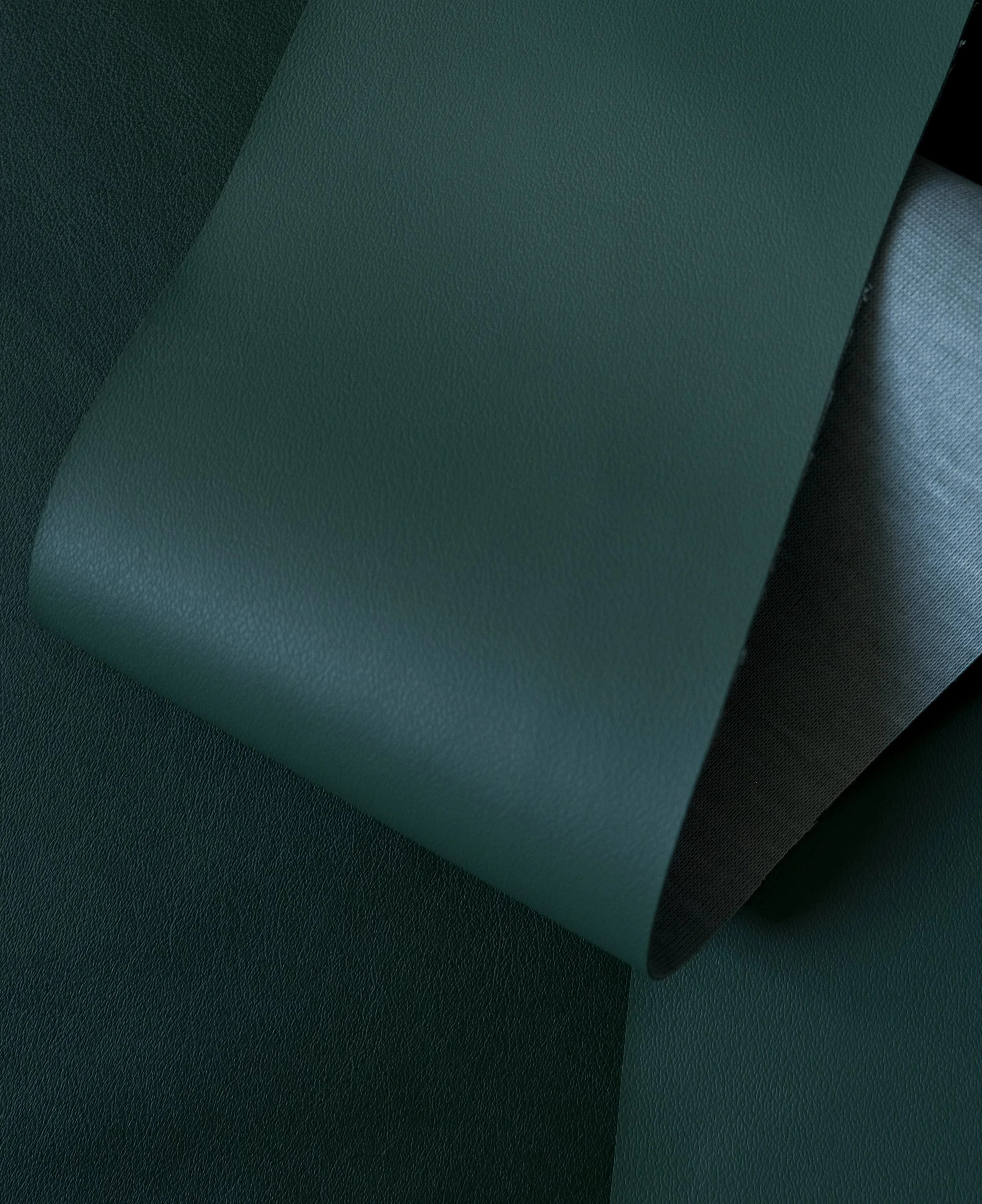 DSCF4583.jpg