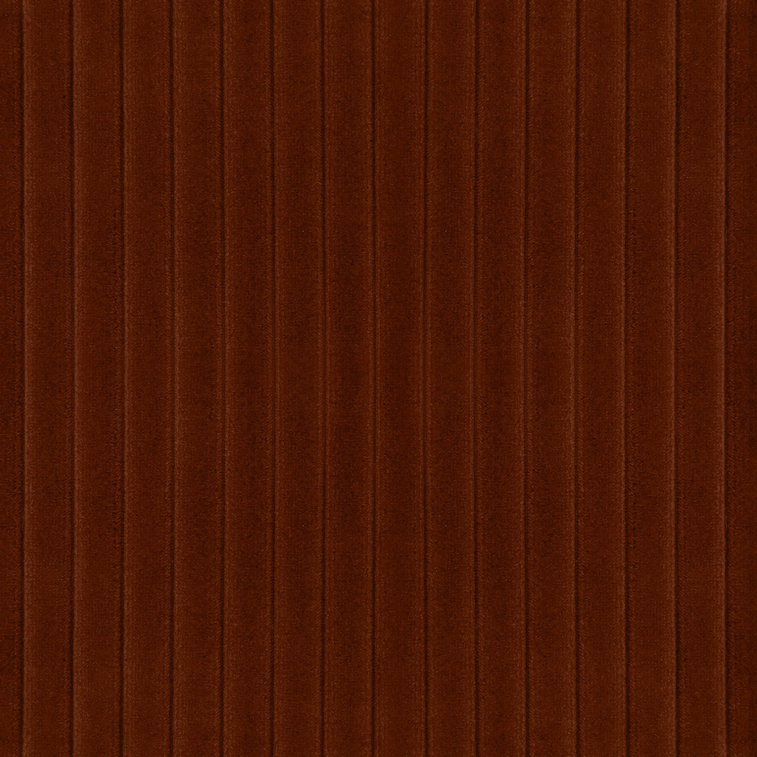 20260123-Loud Mouth.jpg