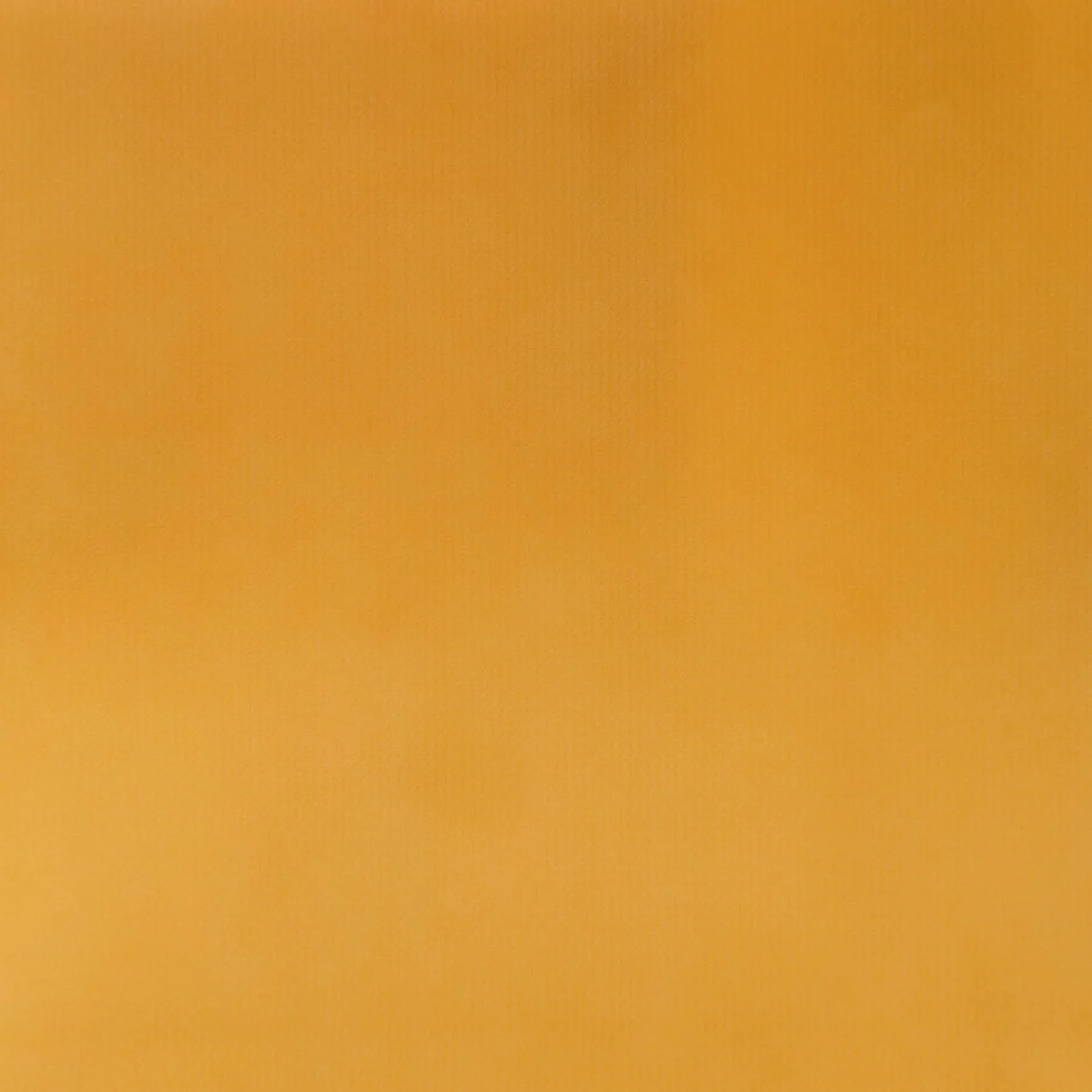 Carolina Sunflower-Edit.jpg