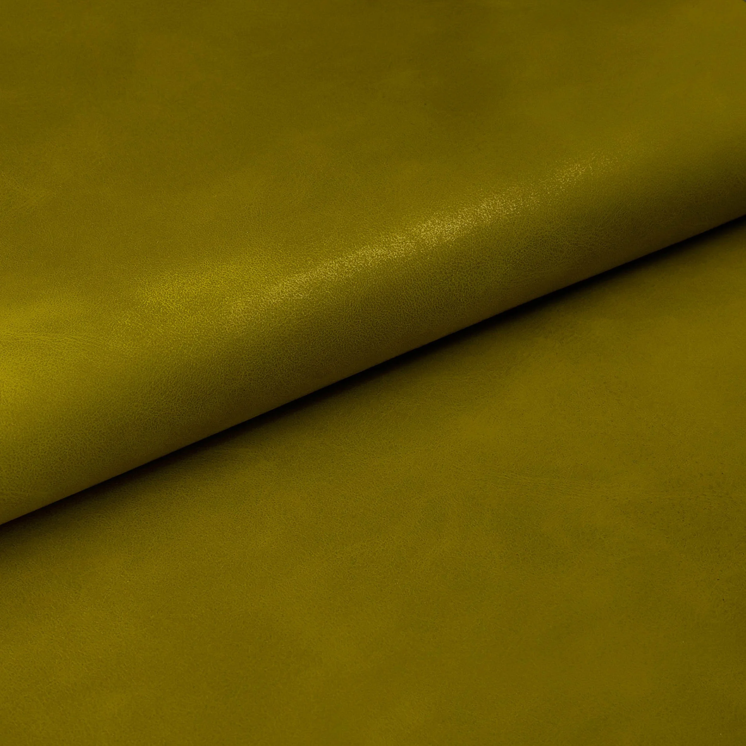 Curator Palm