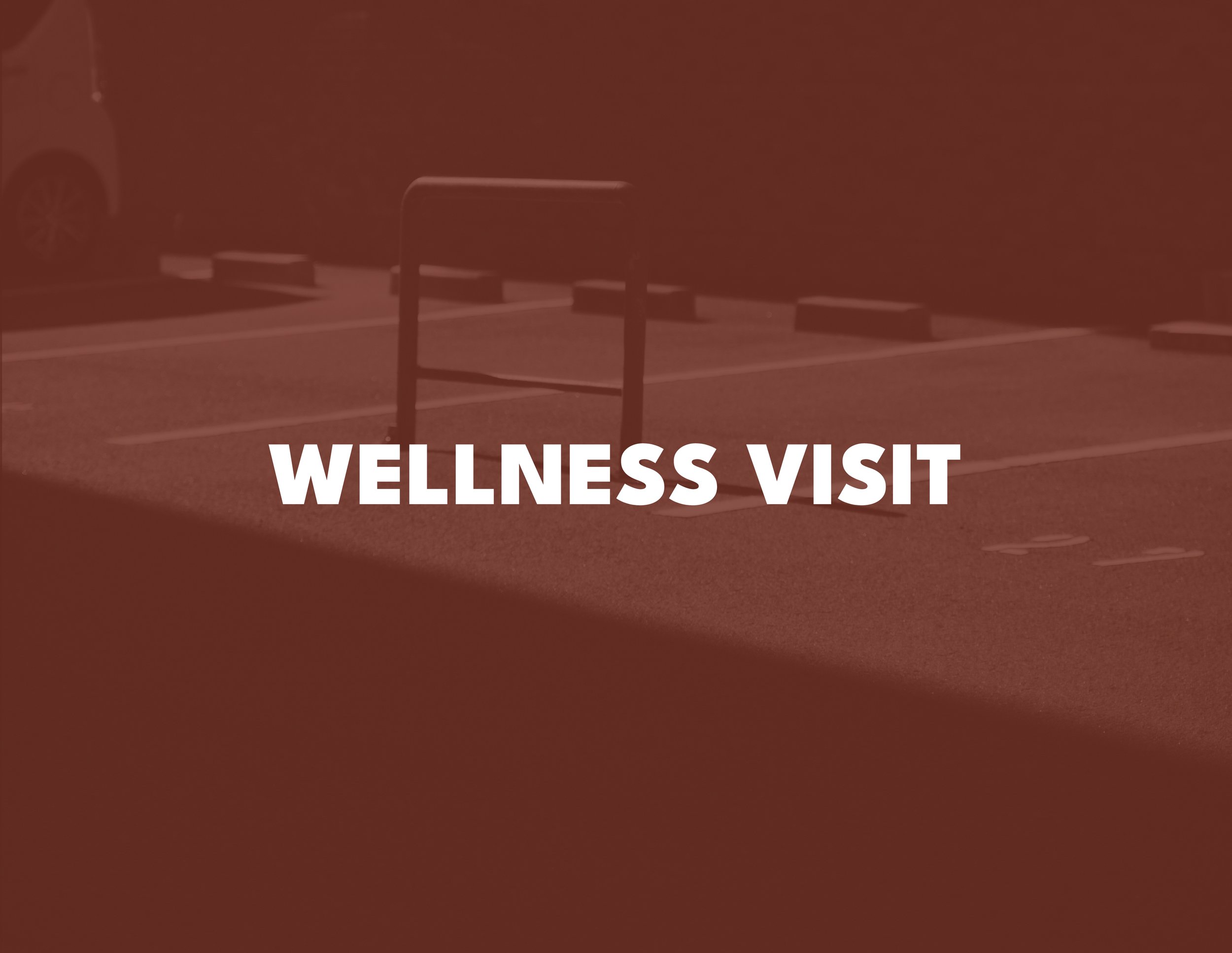 Wellness Visit overlay to depict service details underneath upon hover.