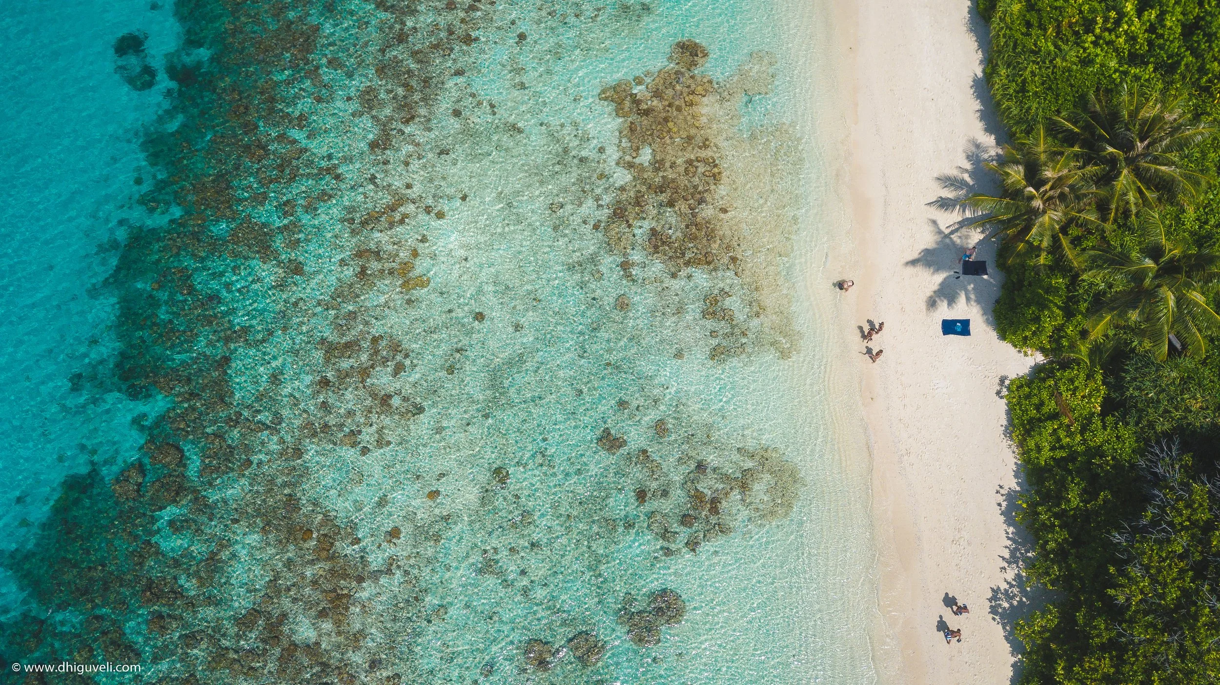 An aerial view of a tropical beach with clear blue water and rocks near the shore, lined with palm trees and a few people relaxing on the sand.