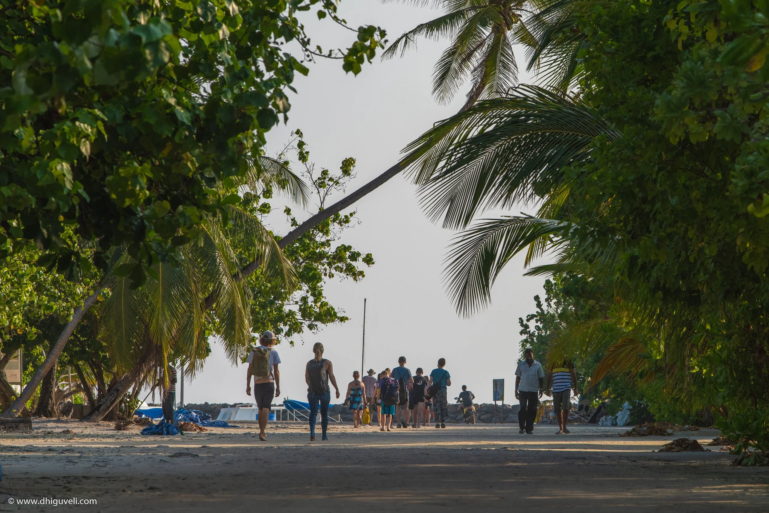 Tourists walking along a sandy beach lined with lush green trees and palm trees on a sunny day.