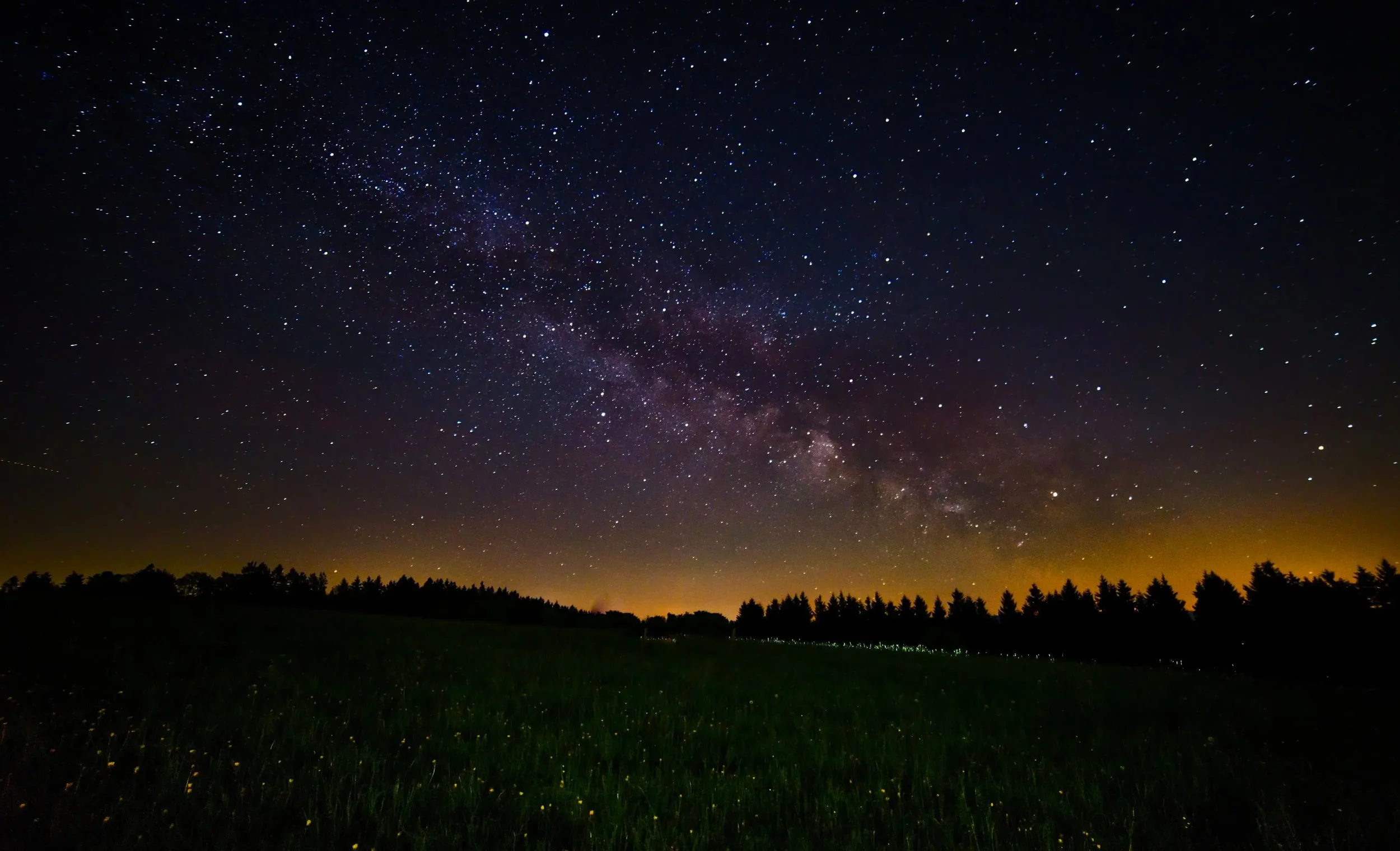 Star-filled night sky above a quiet forest and open field, creating a sense of calm and reflection.