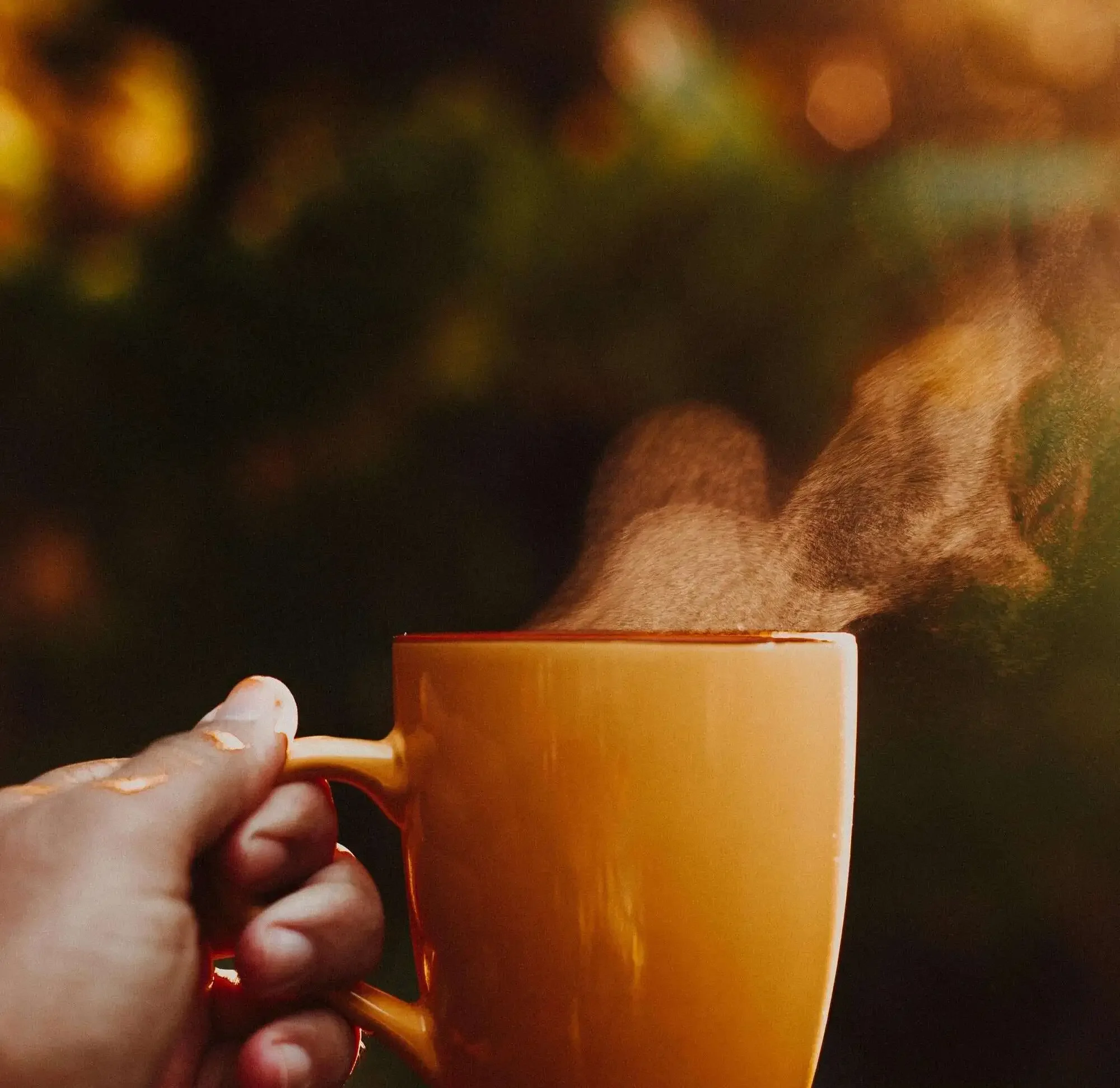 Hand holding a warm mug with steam rising, evoking comfort and grounding.