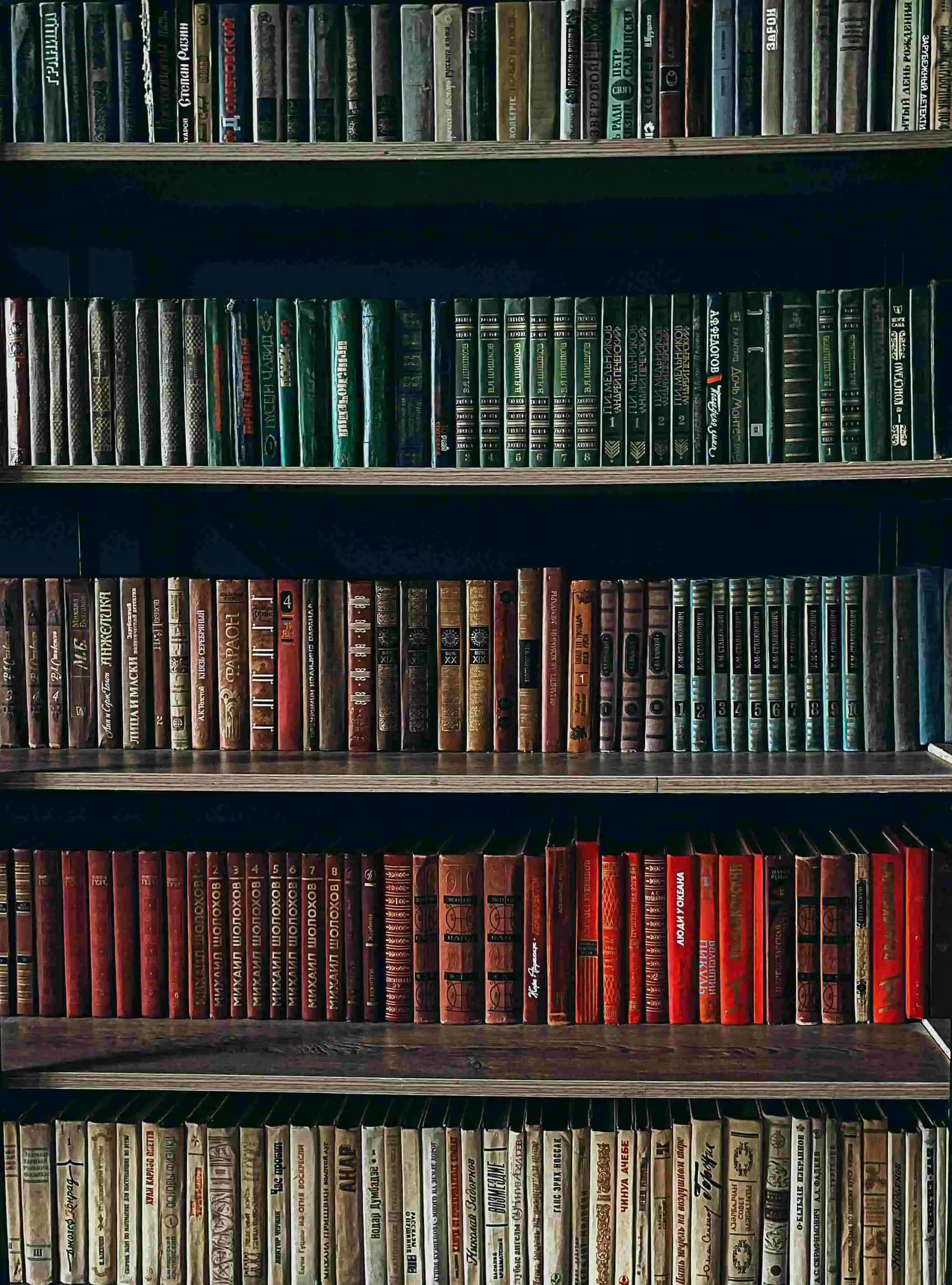 Organized bookshelves representing learning, insight, and understanding patterns over time.
