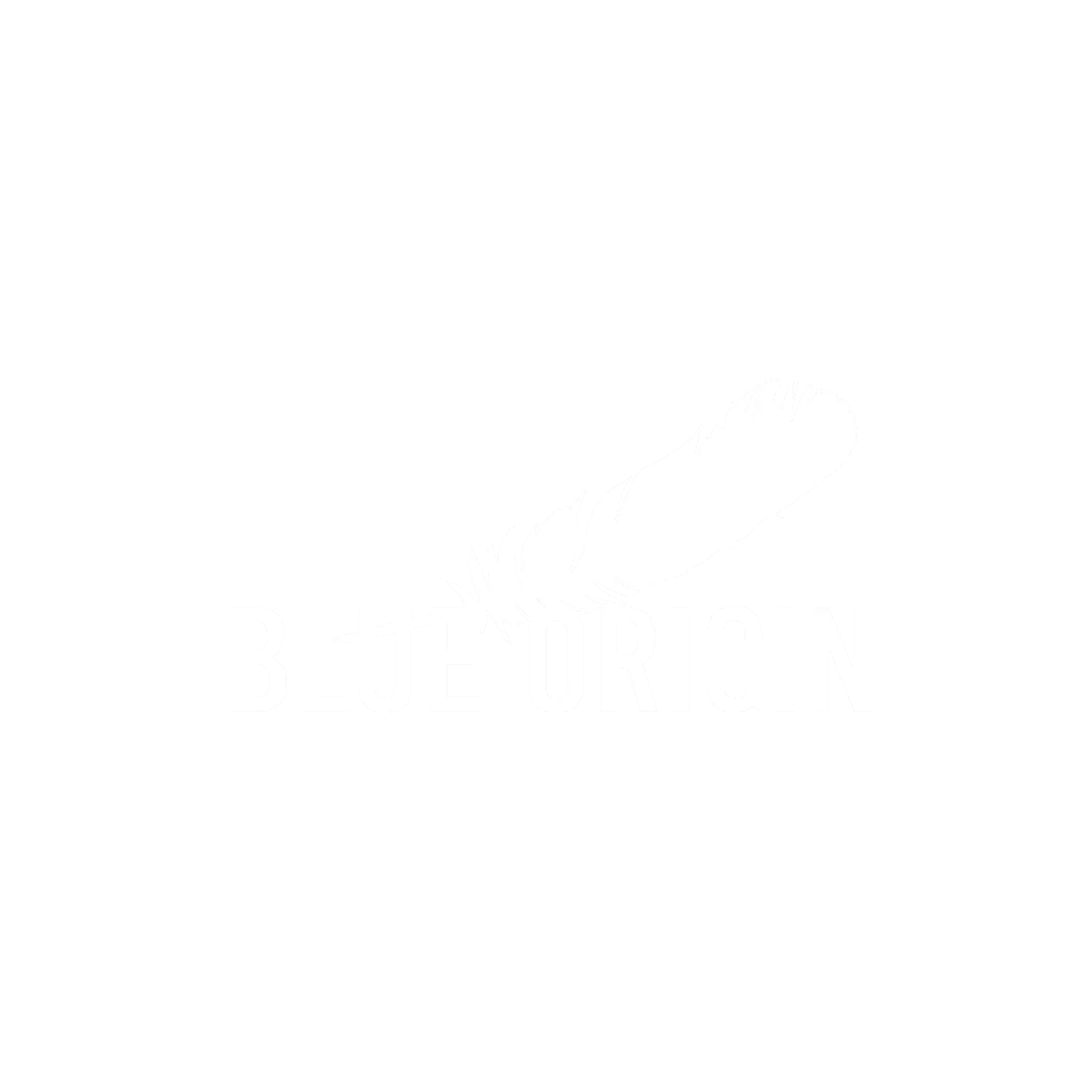 Blue Origin