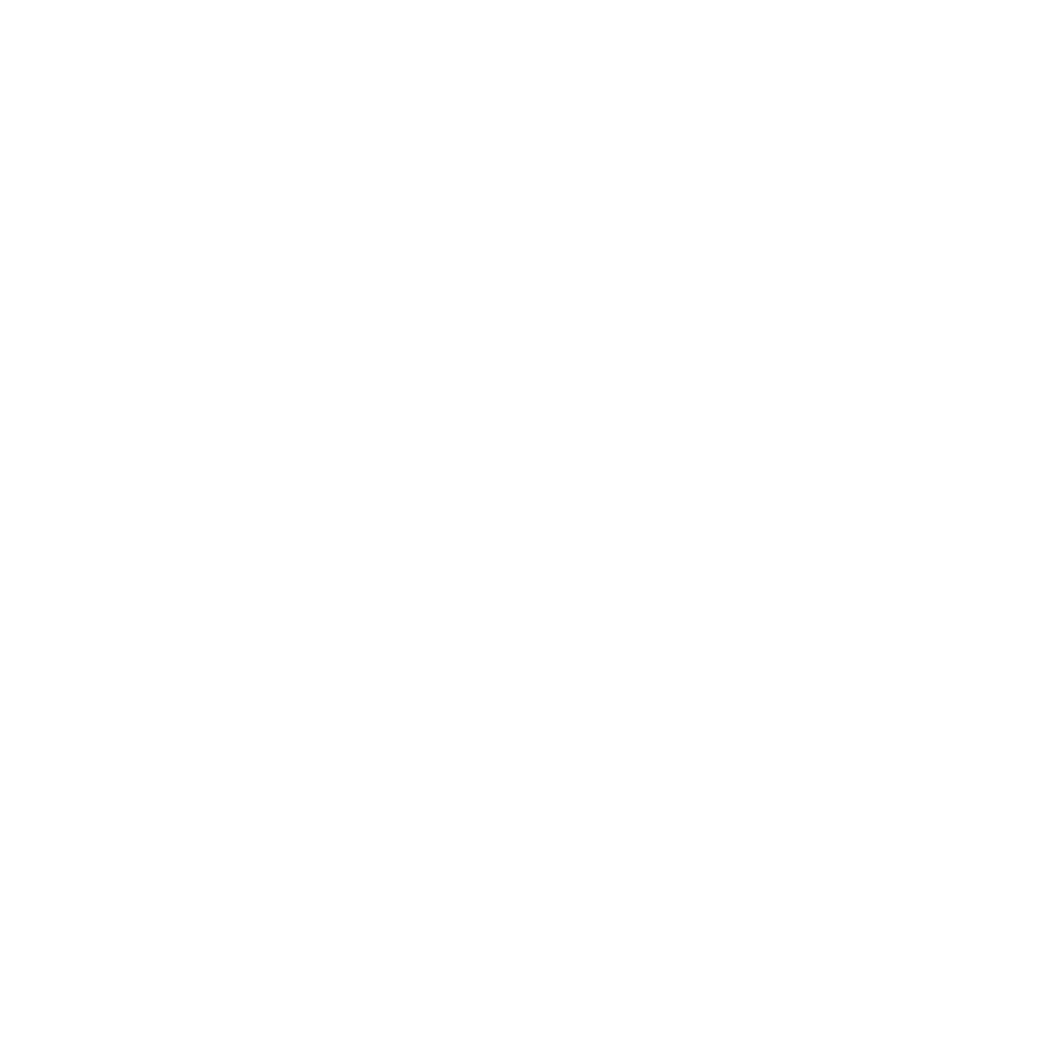 University of Arizona