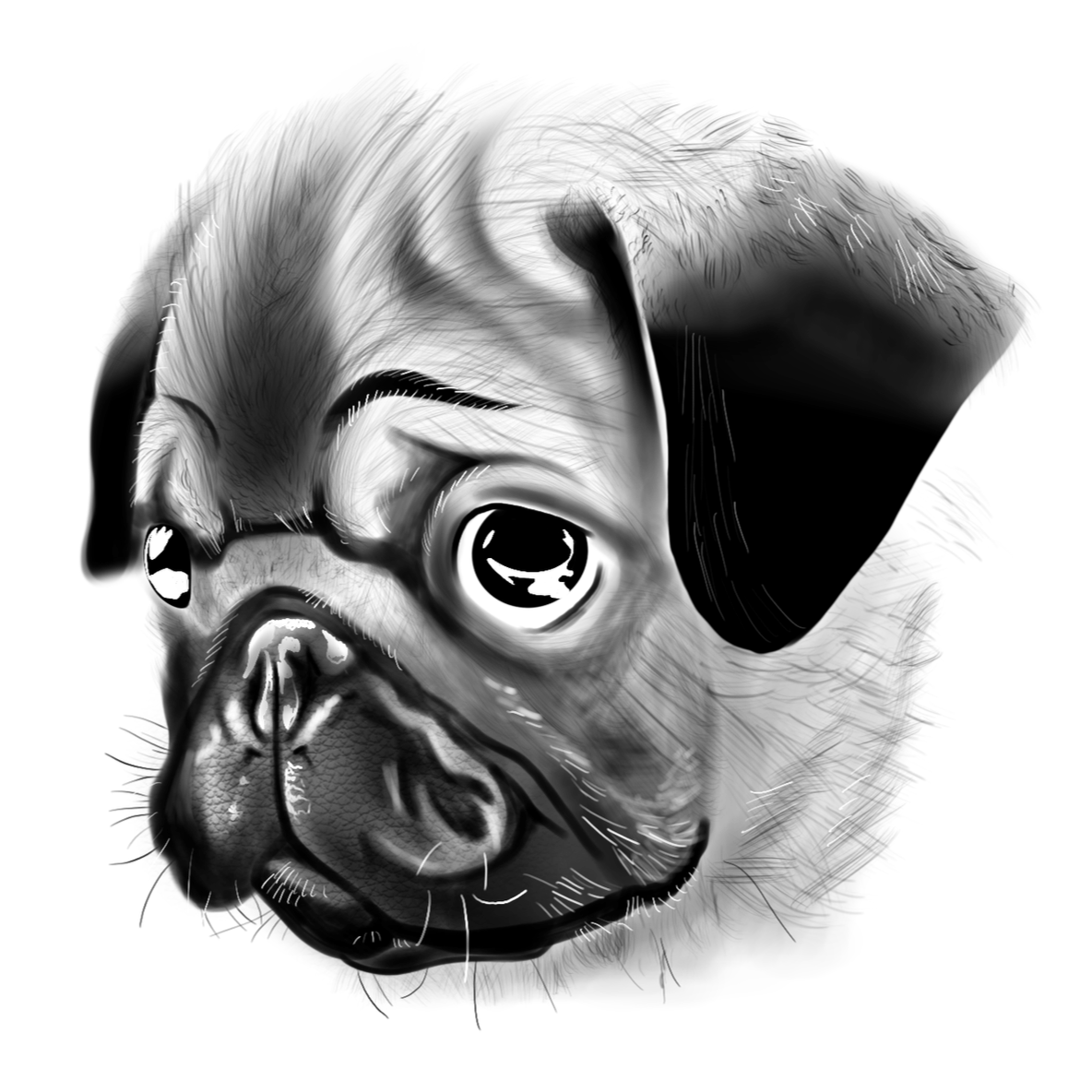 IMG_0522.png