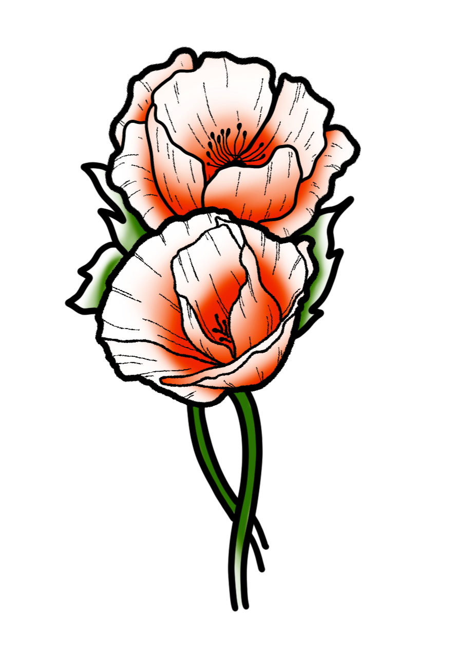 IMG_0050.png